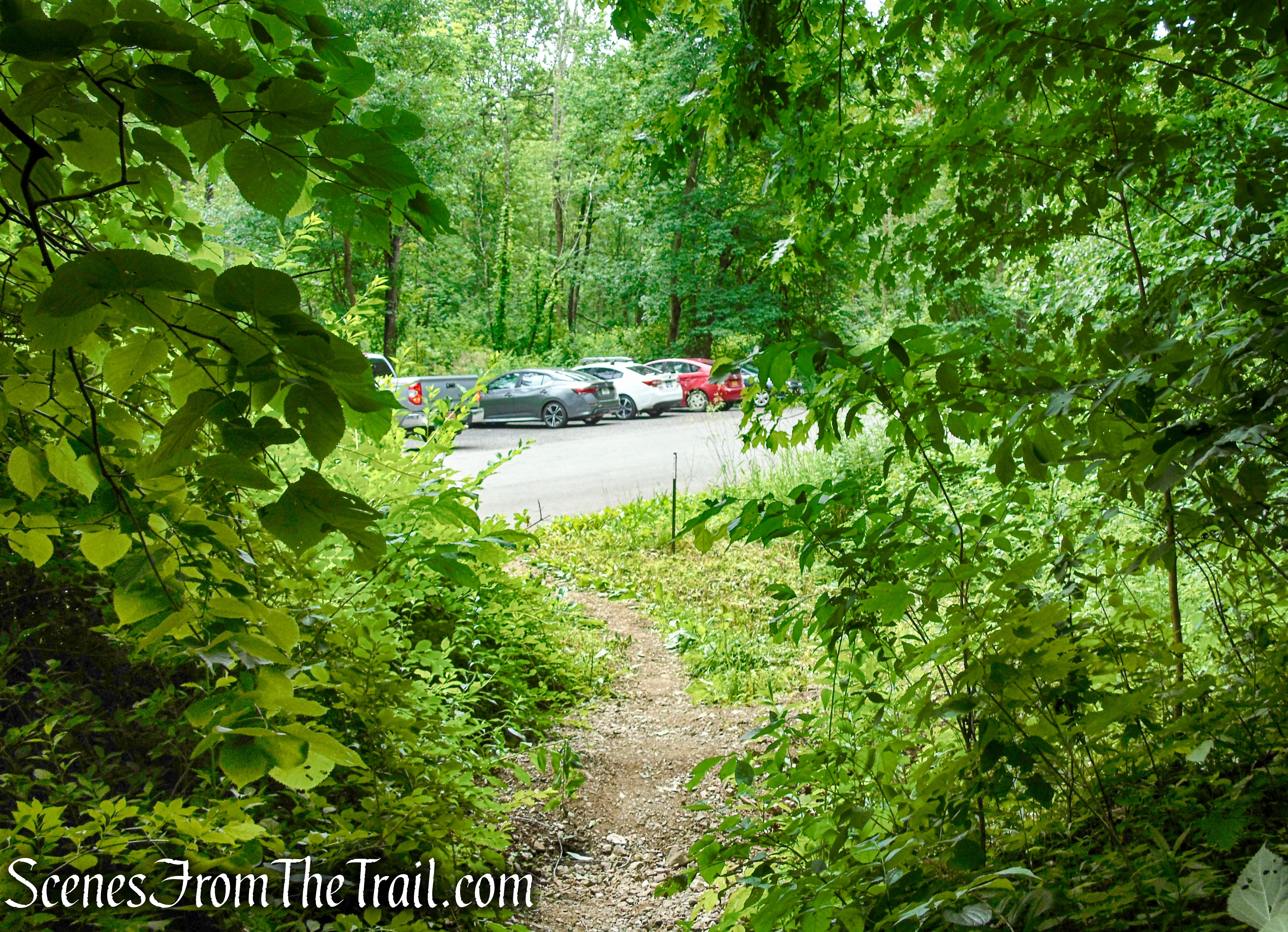 Stissing Mountain Fire Tower Parking Area - Lake Road