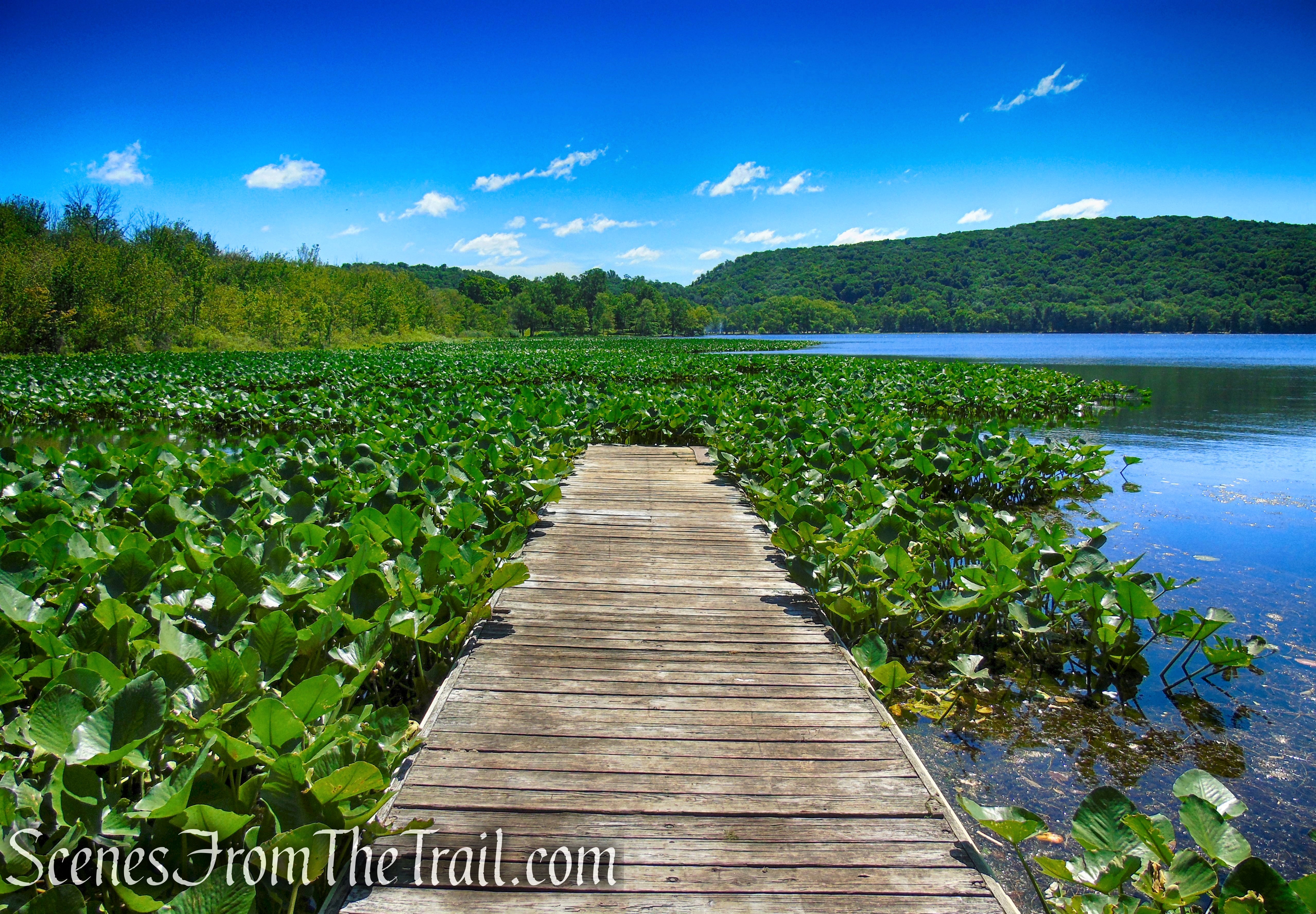Rockland Lake