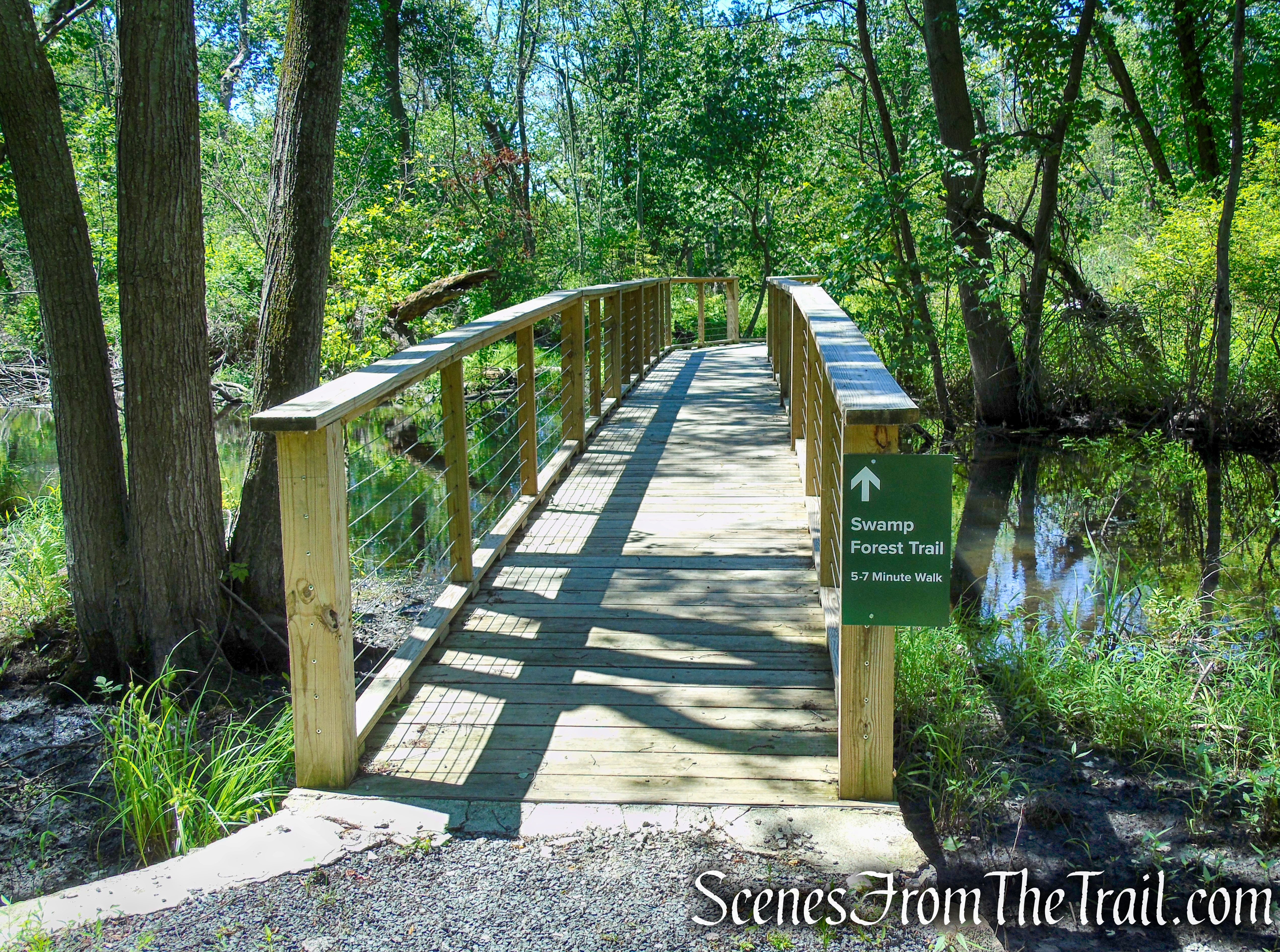 Swamp Forest Trail - Rockland Lake Nature Center