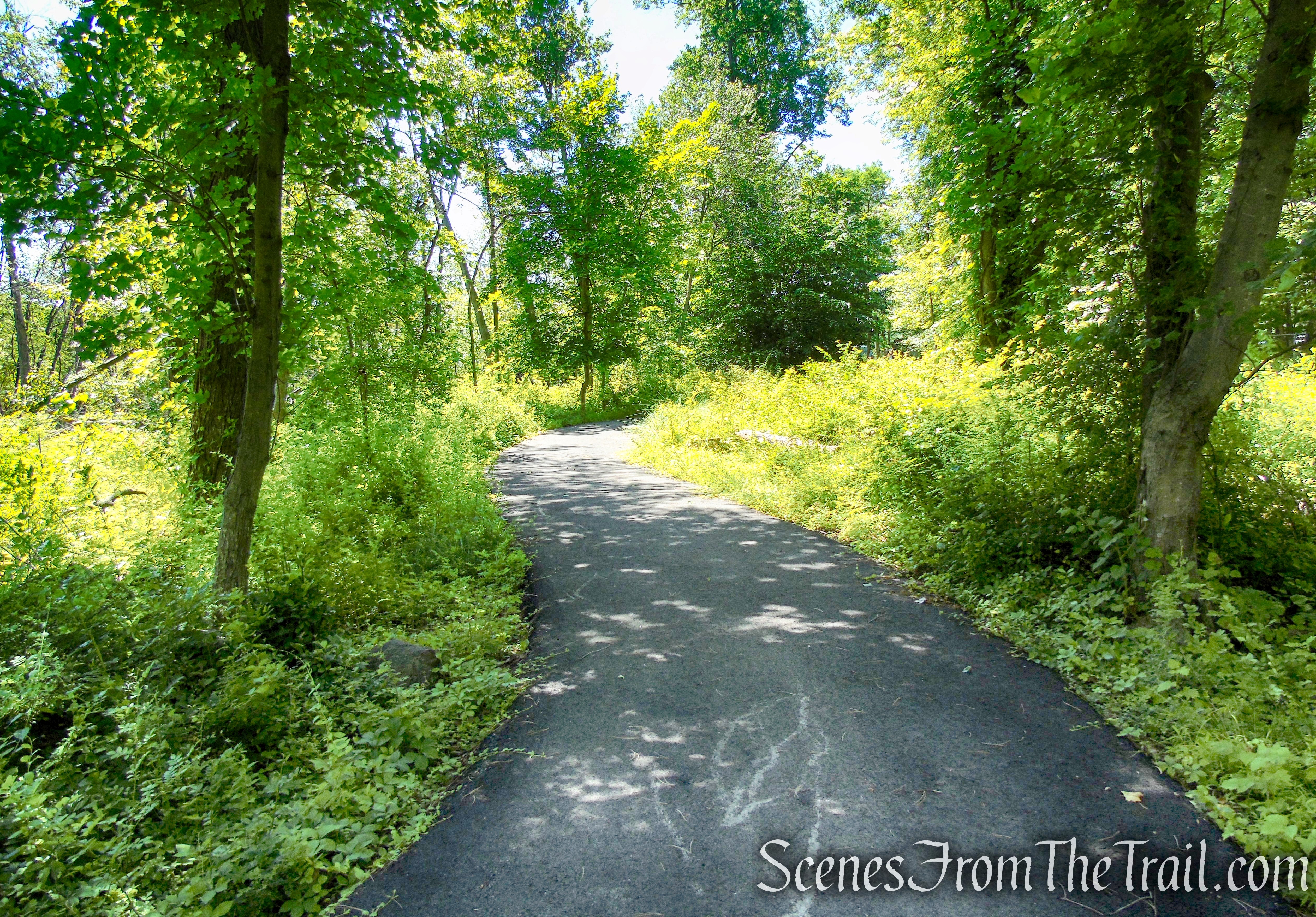 Swamp Forest Trail - Rockland Lake Nature Center