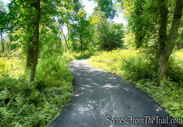 Swamp Forest Trail - Rockland Lake Nature Center