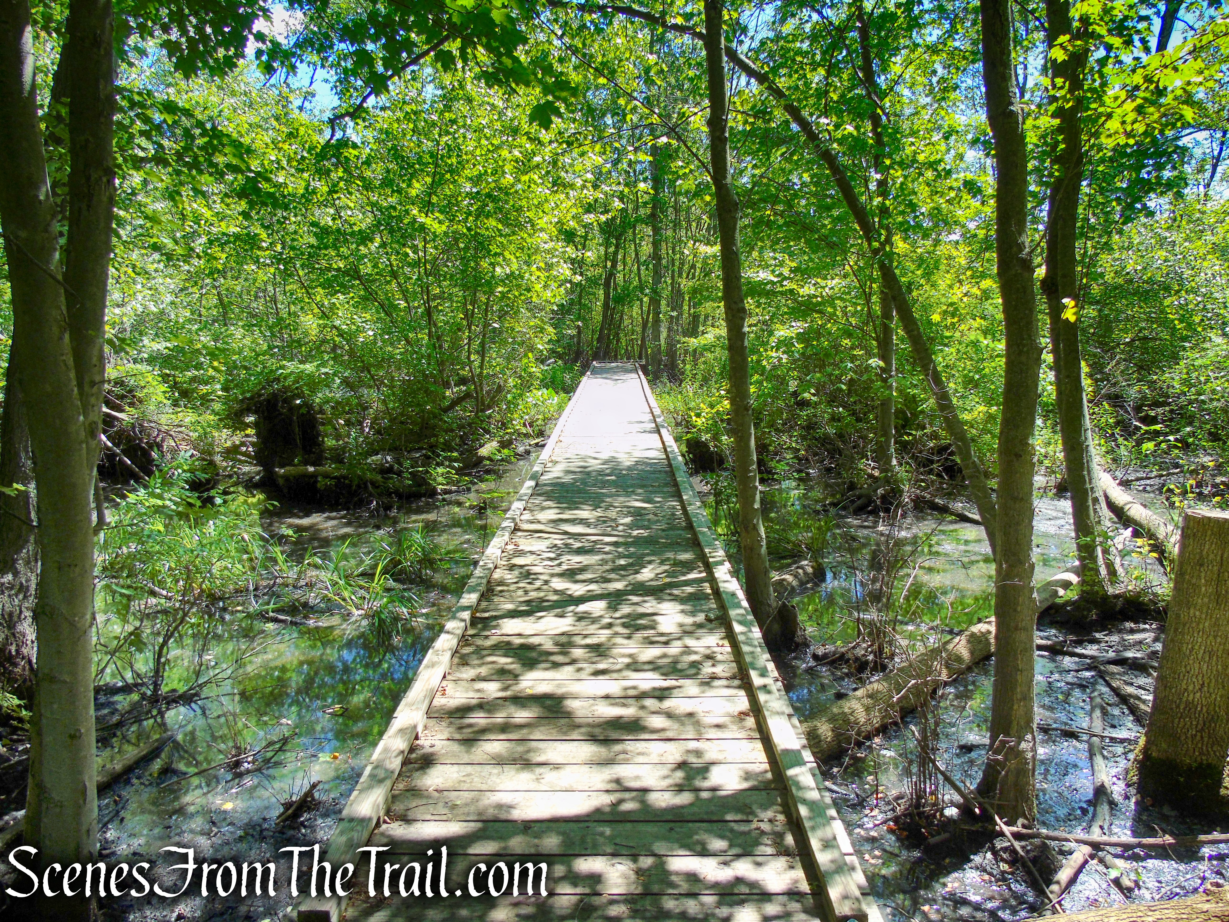 Swamp Forest Trail - Rockland Lake Nature Center