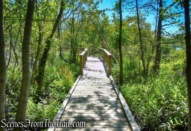 Swamp Forest Trail – Rockland Lake Nature Center