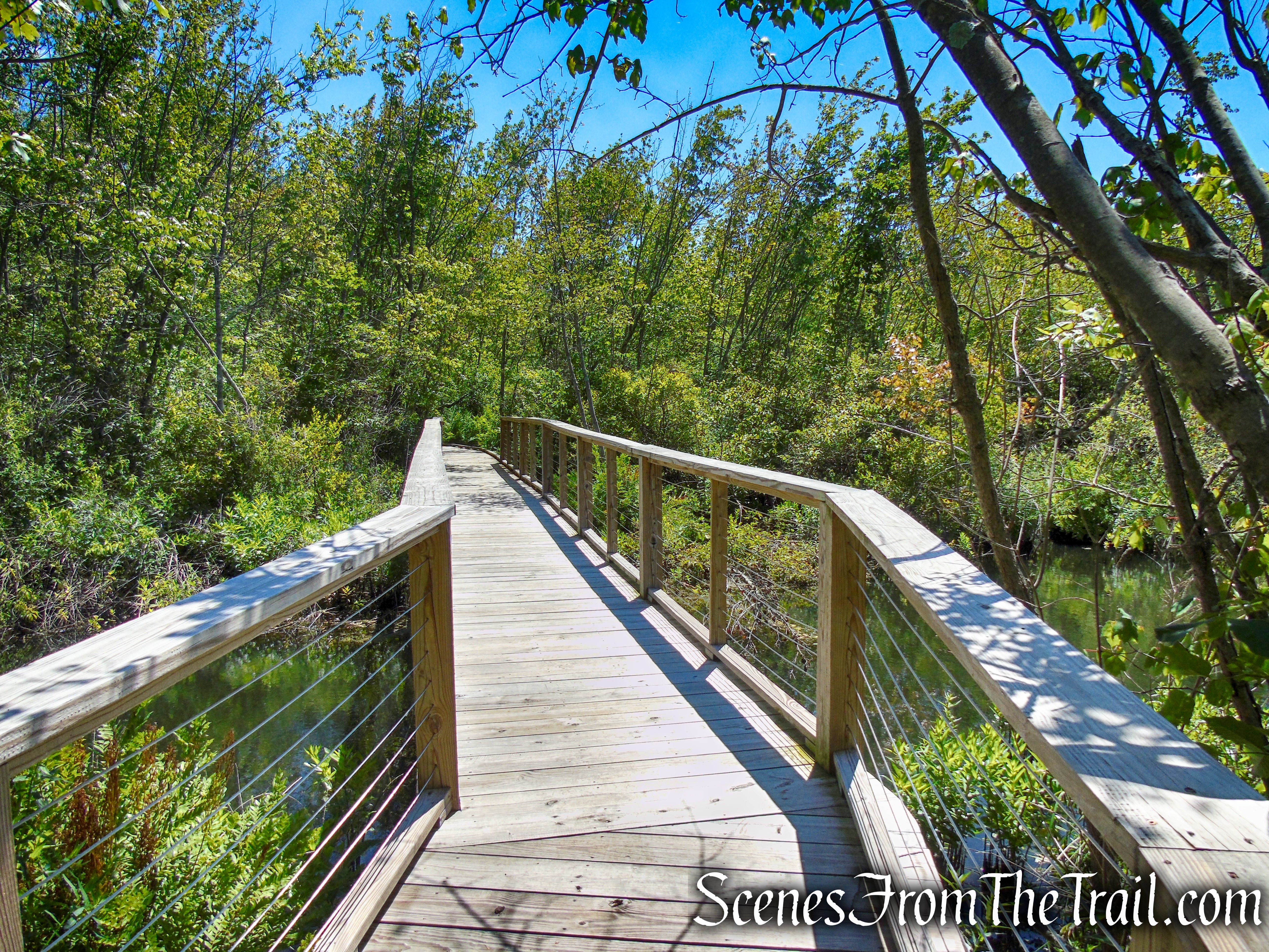 Swamp Forest Trail – Rockland Lake Nature Center