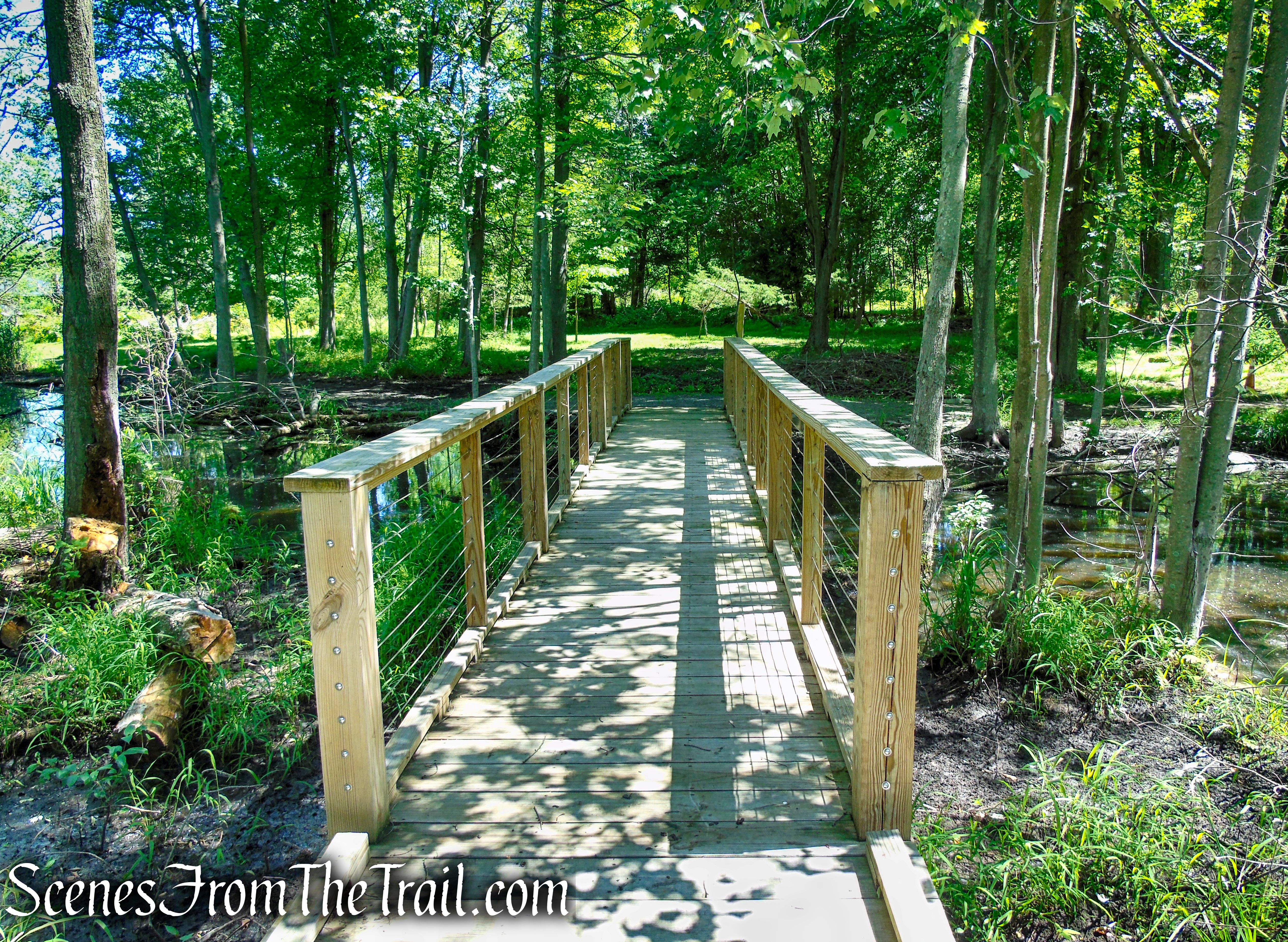 Swamp Forest Trail – Rockland Lake Nature Center