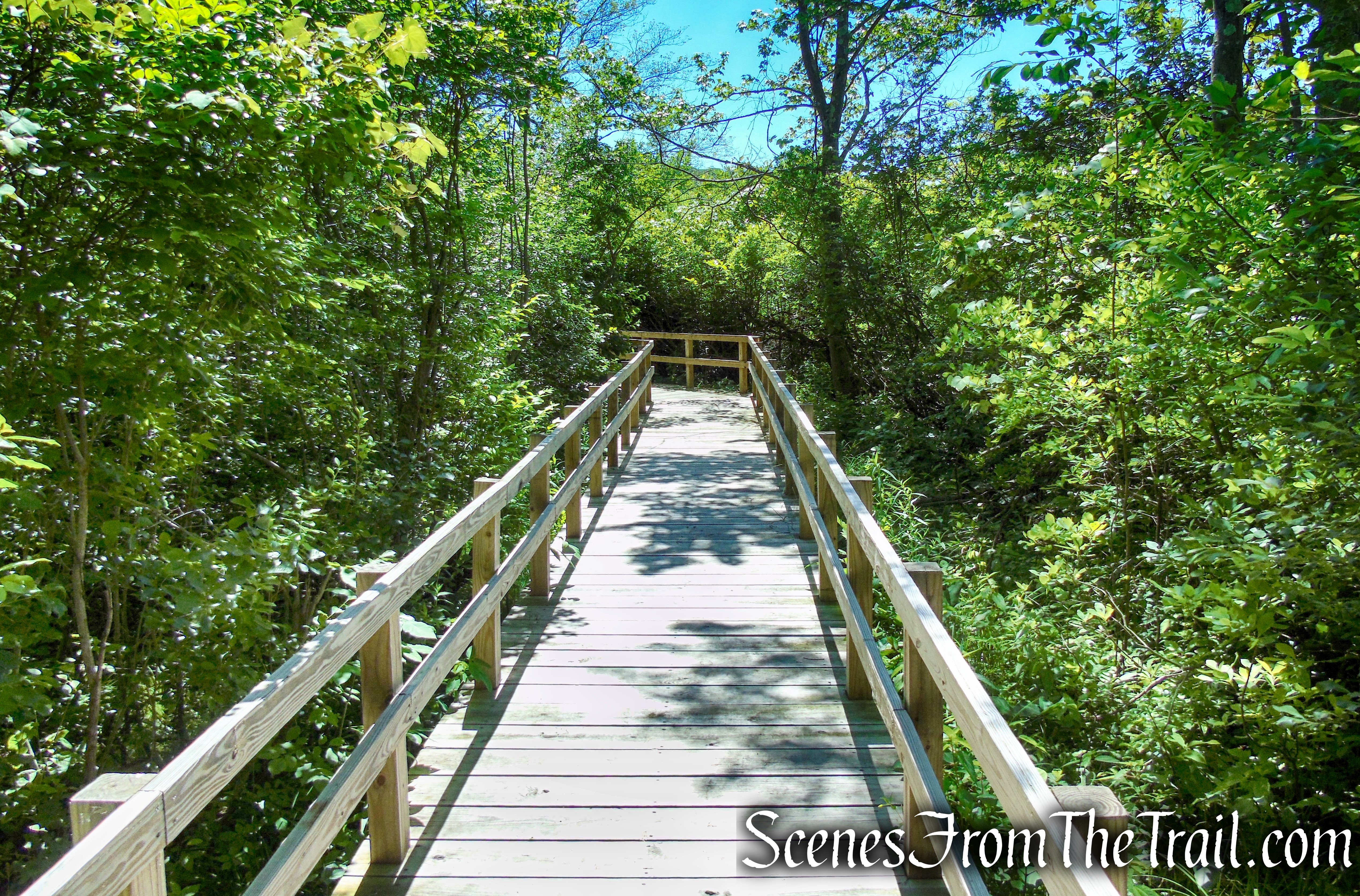 Lakeside Loop Trail – Rockland Lake Nature Center