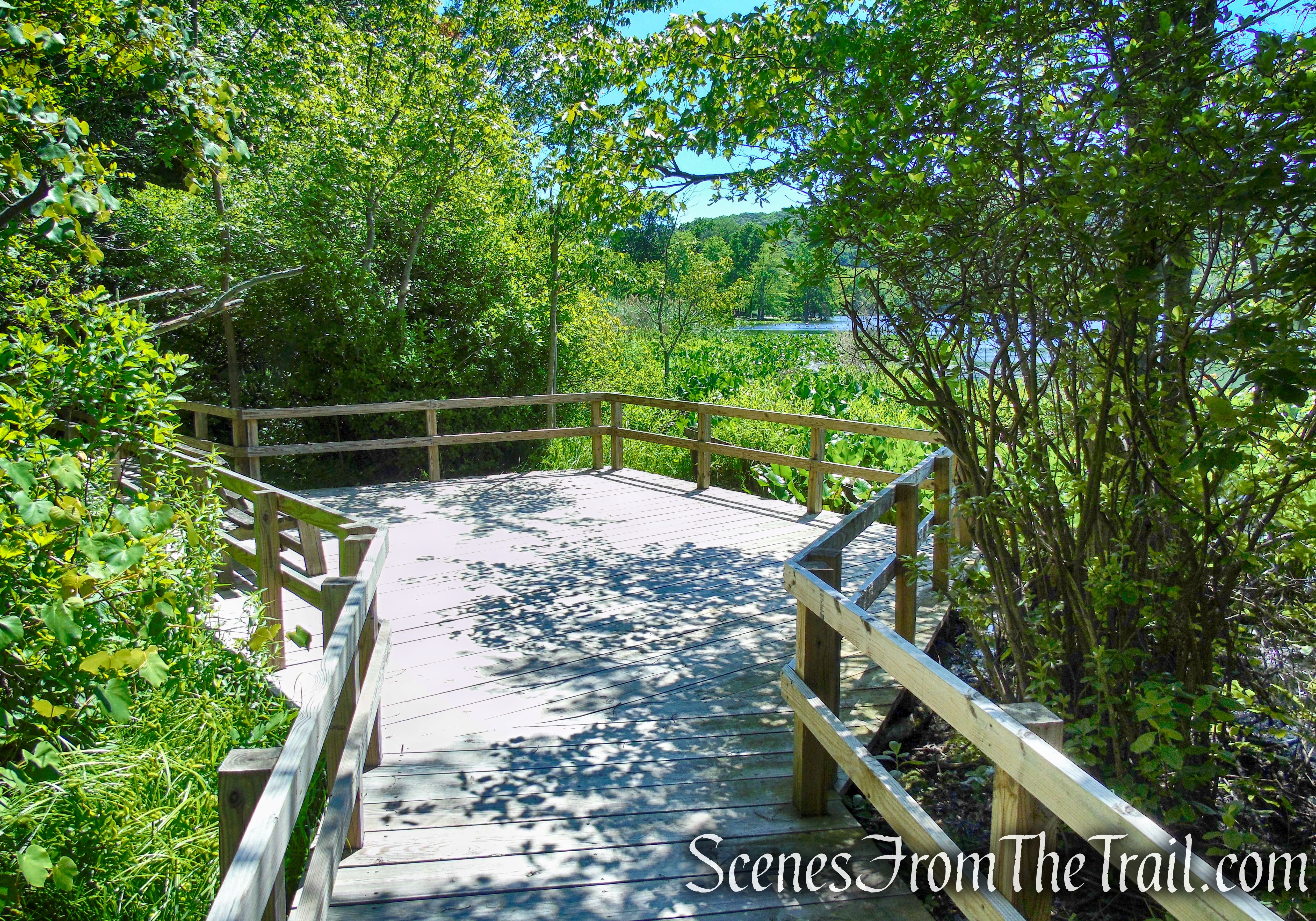 Lakeside Loop Trail – Rockland Lake Nature Center