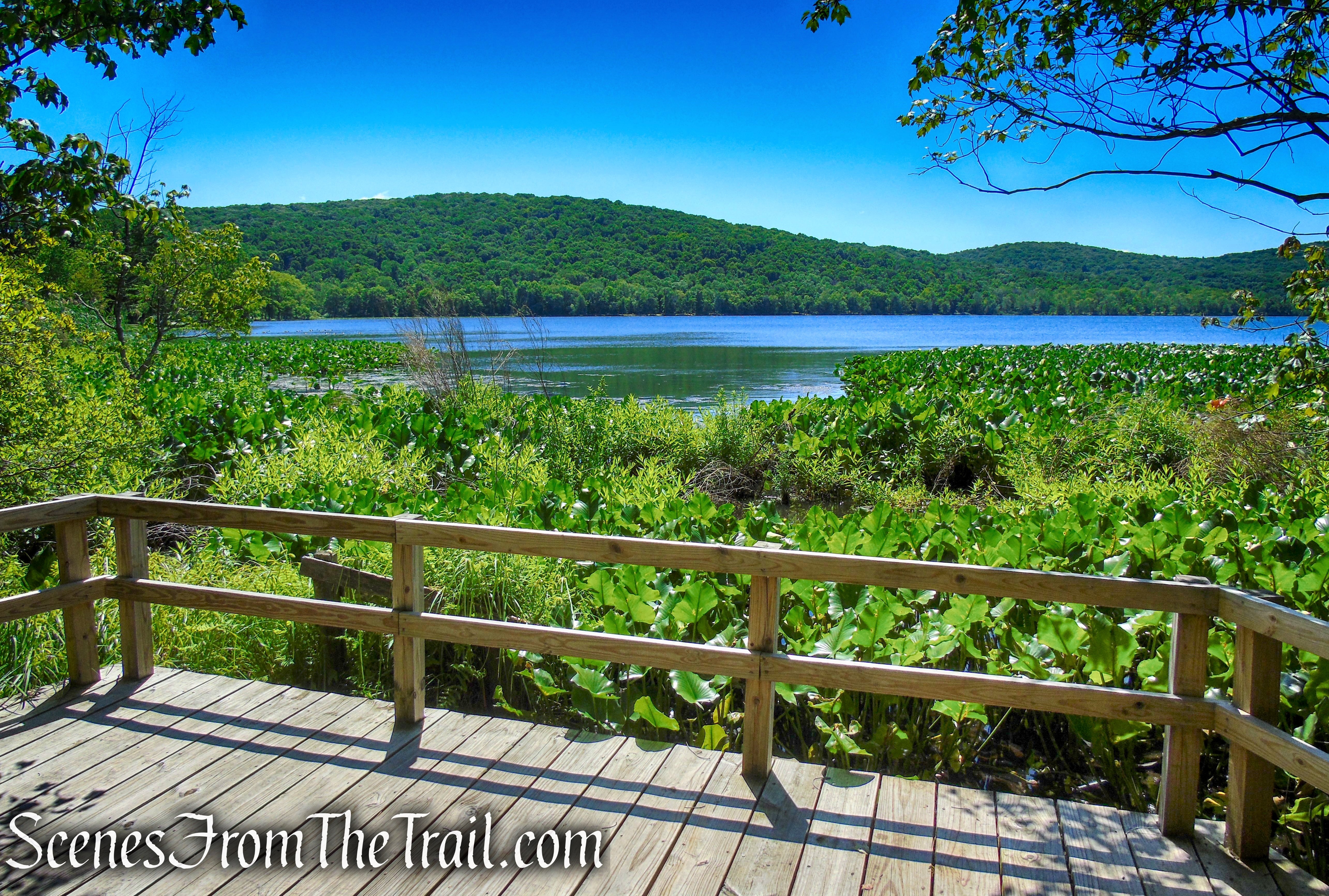 Lakeside Loop Trail – Rockland Lake Nature Center