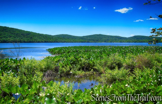 Lakeside Loop Trail – Rockland Lake Nature Center