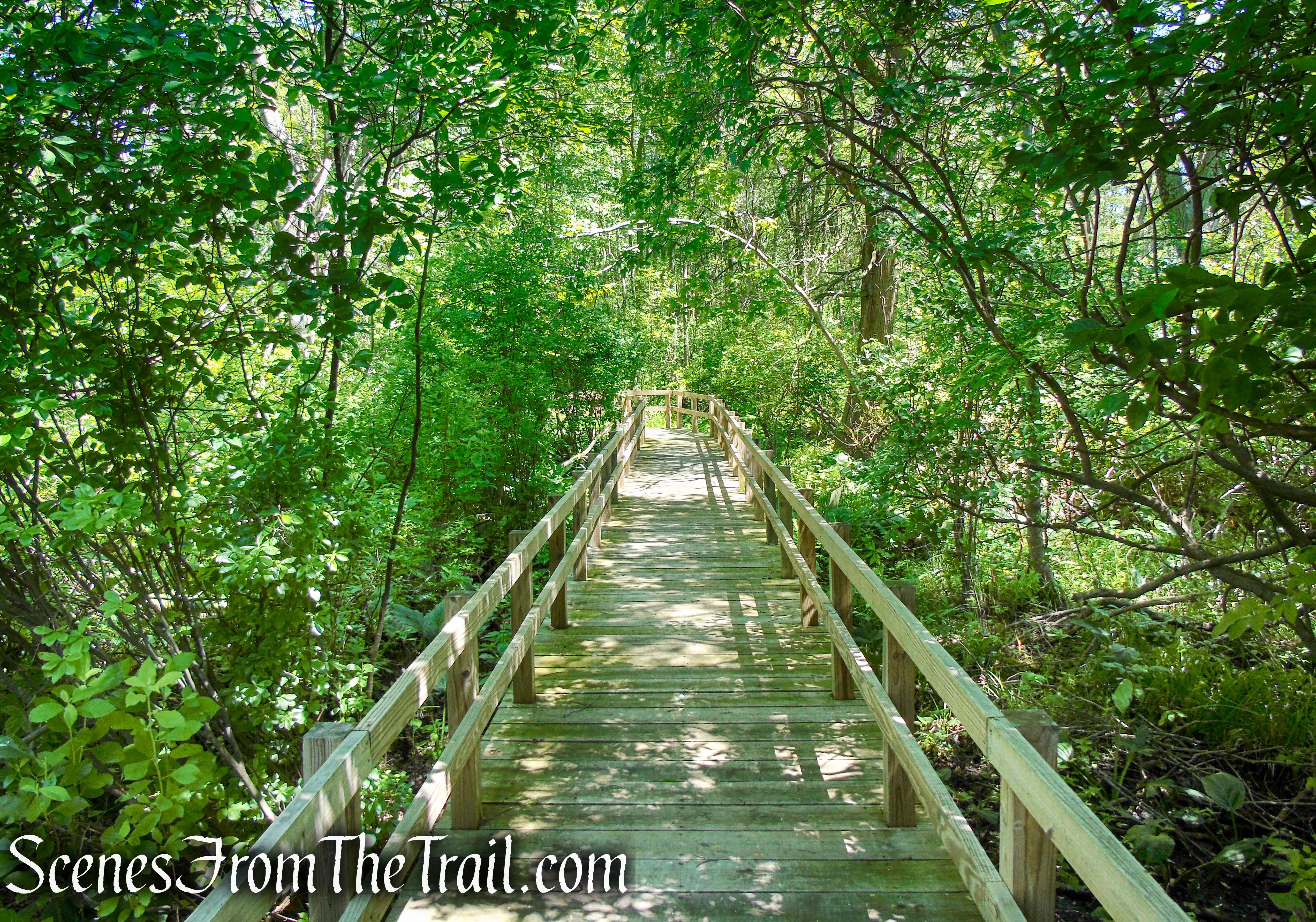 Lakeside Loop Trail – Rockland Lake Nature Center