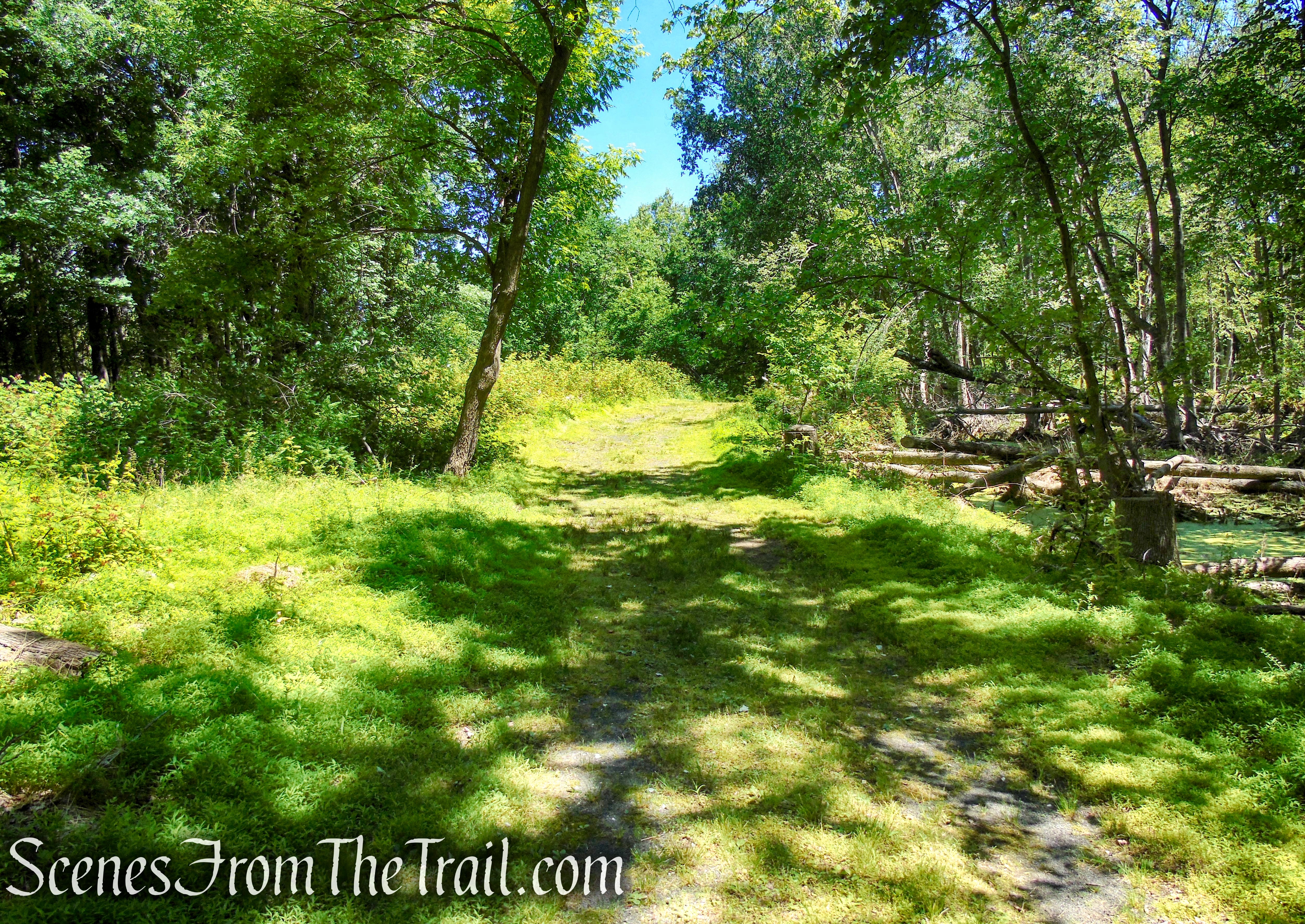 Rockland Lake Nature Center