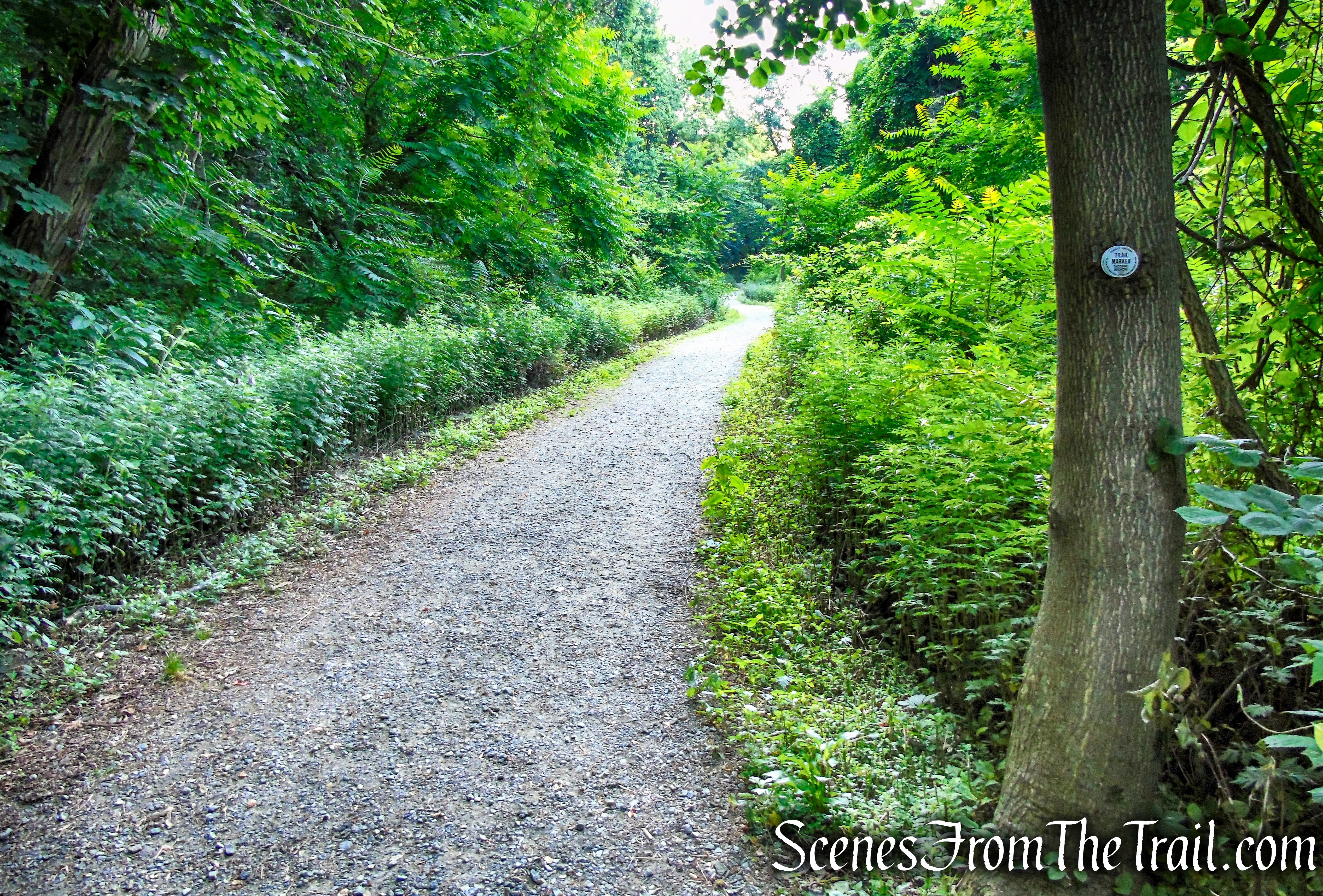Washburn Trail - Bull Hill