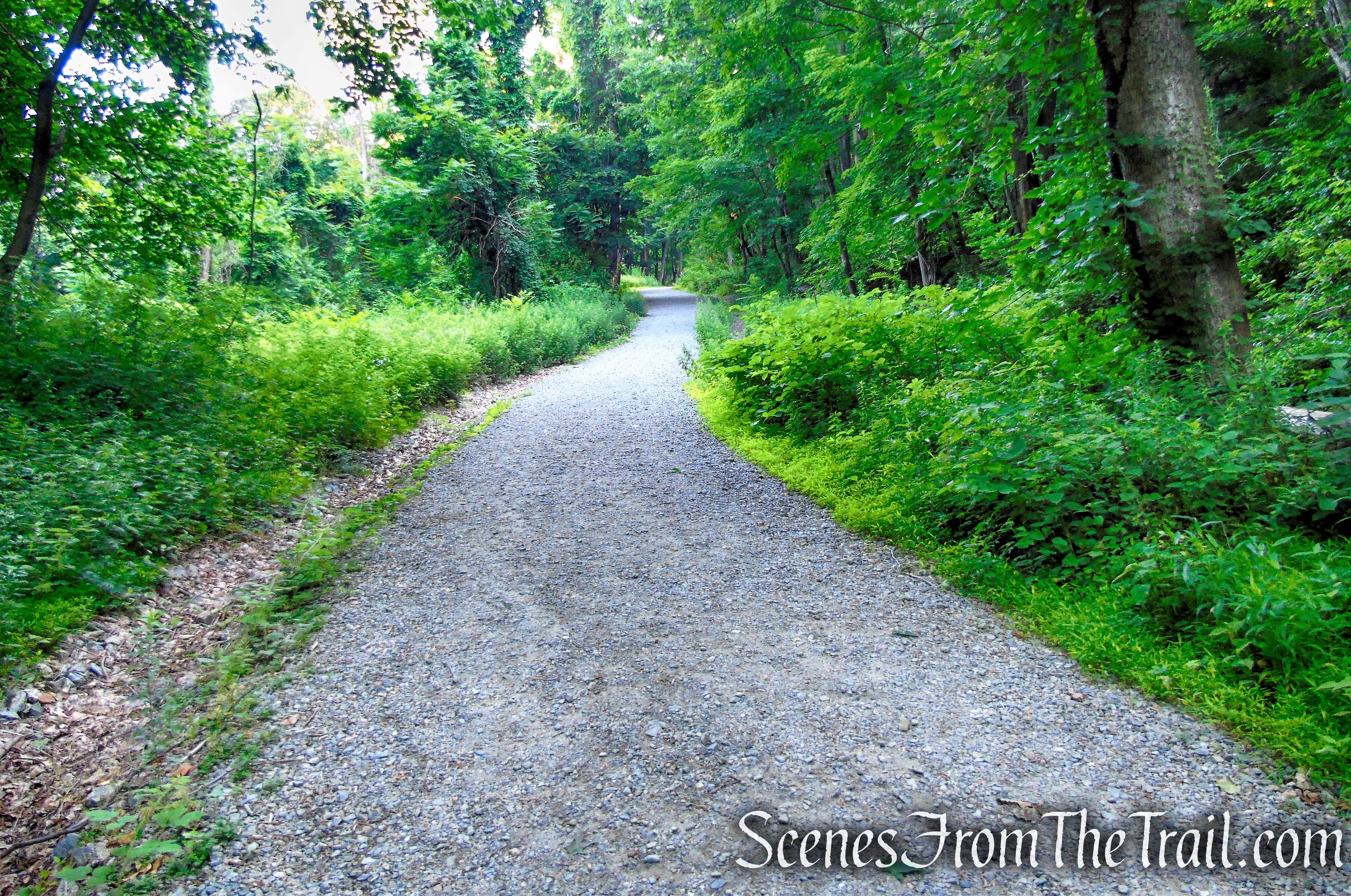 Washburn Trail - Bull Hill