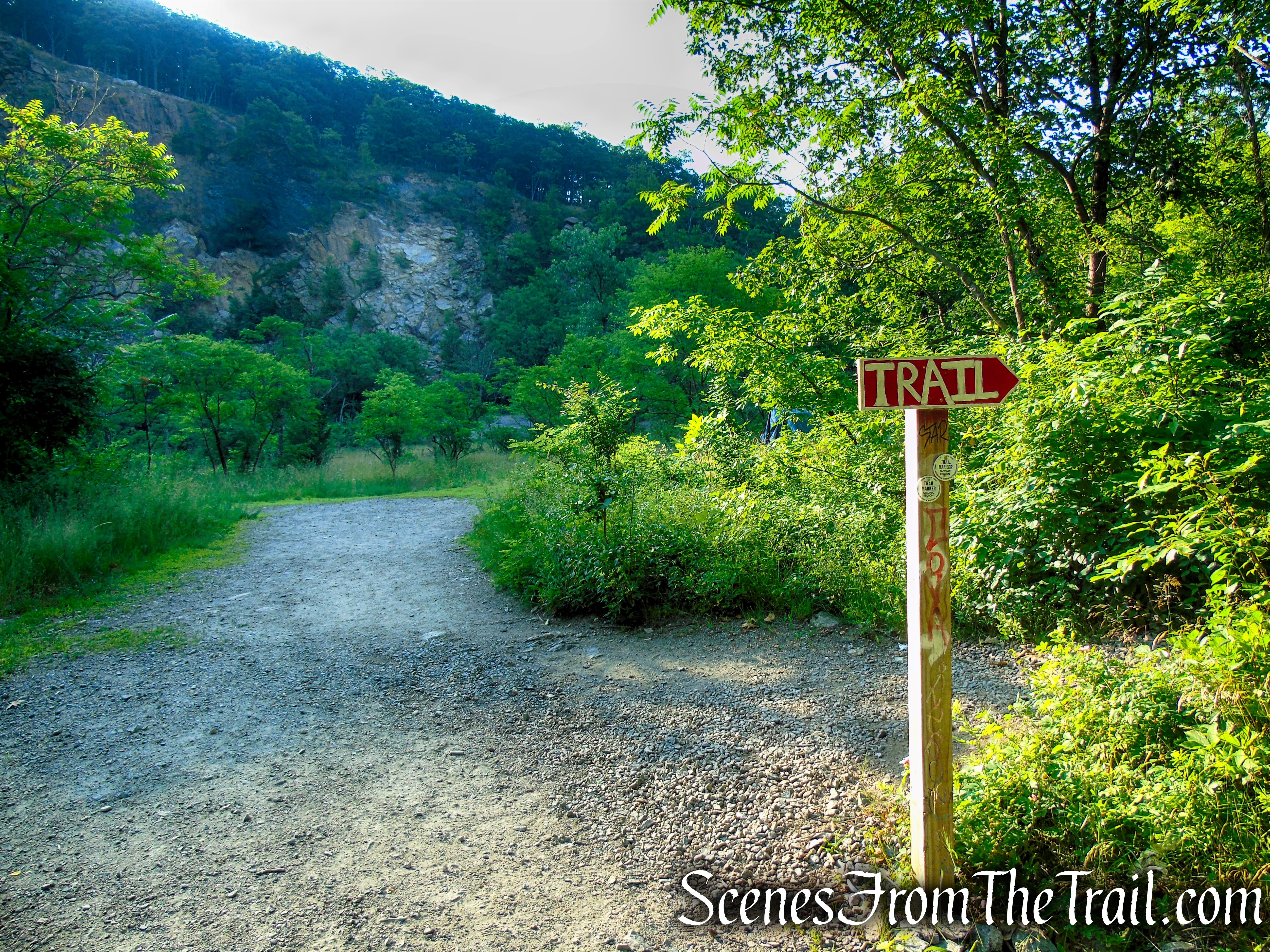 Washburn Trail - Bull Hill