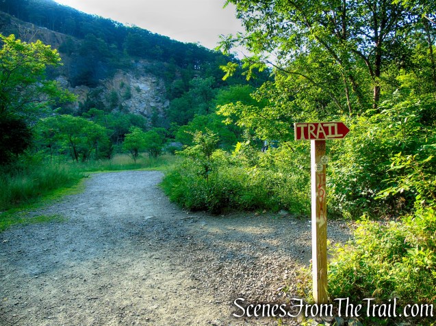 Washburn Trail - Bull Hill