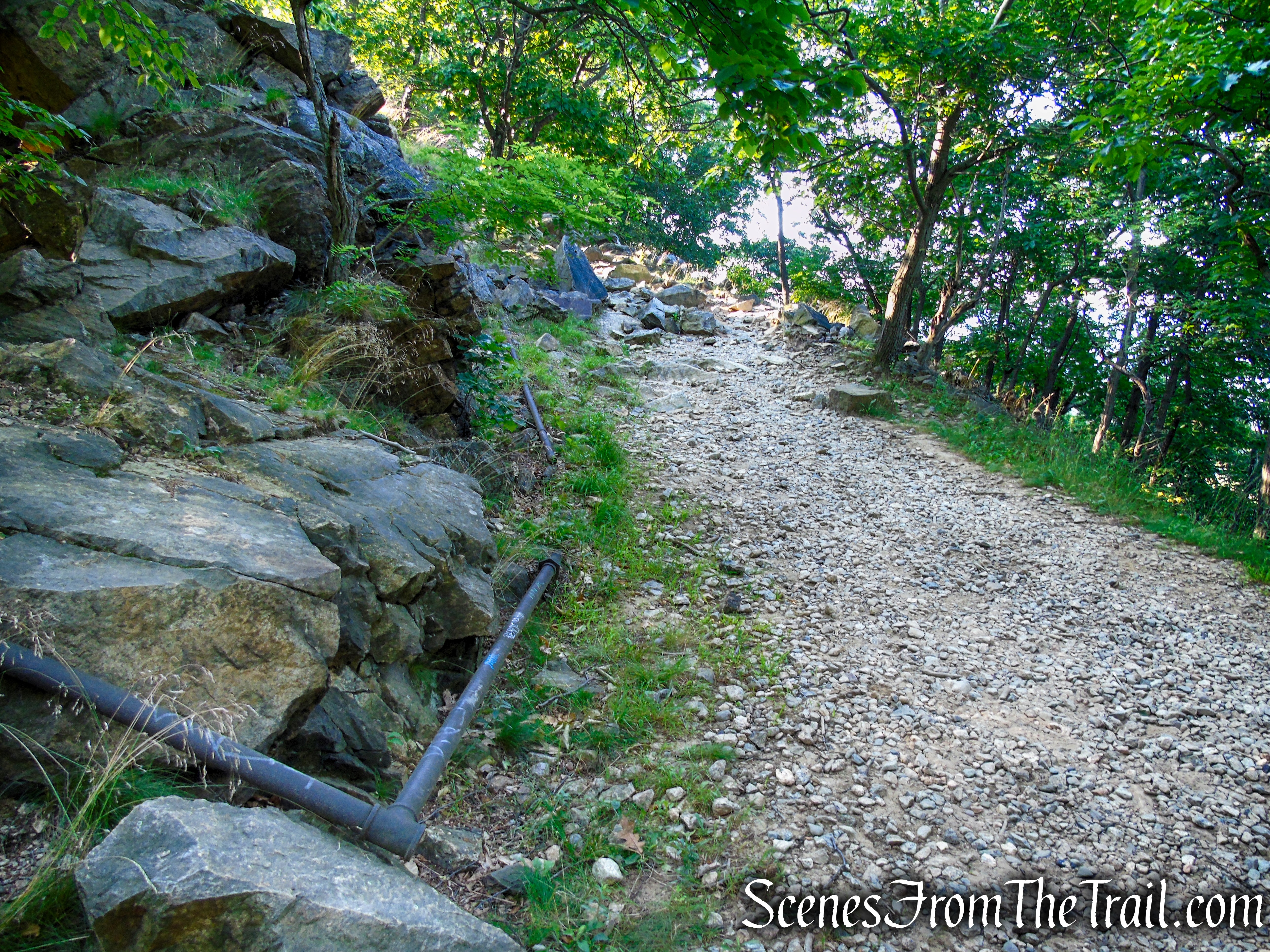 Washburn Trail - Bull Hill