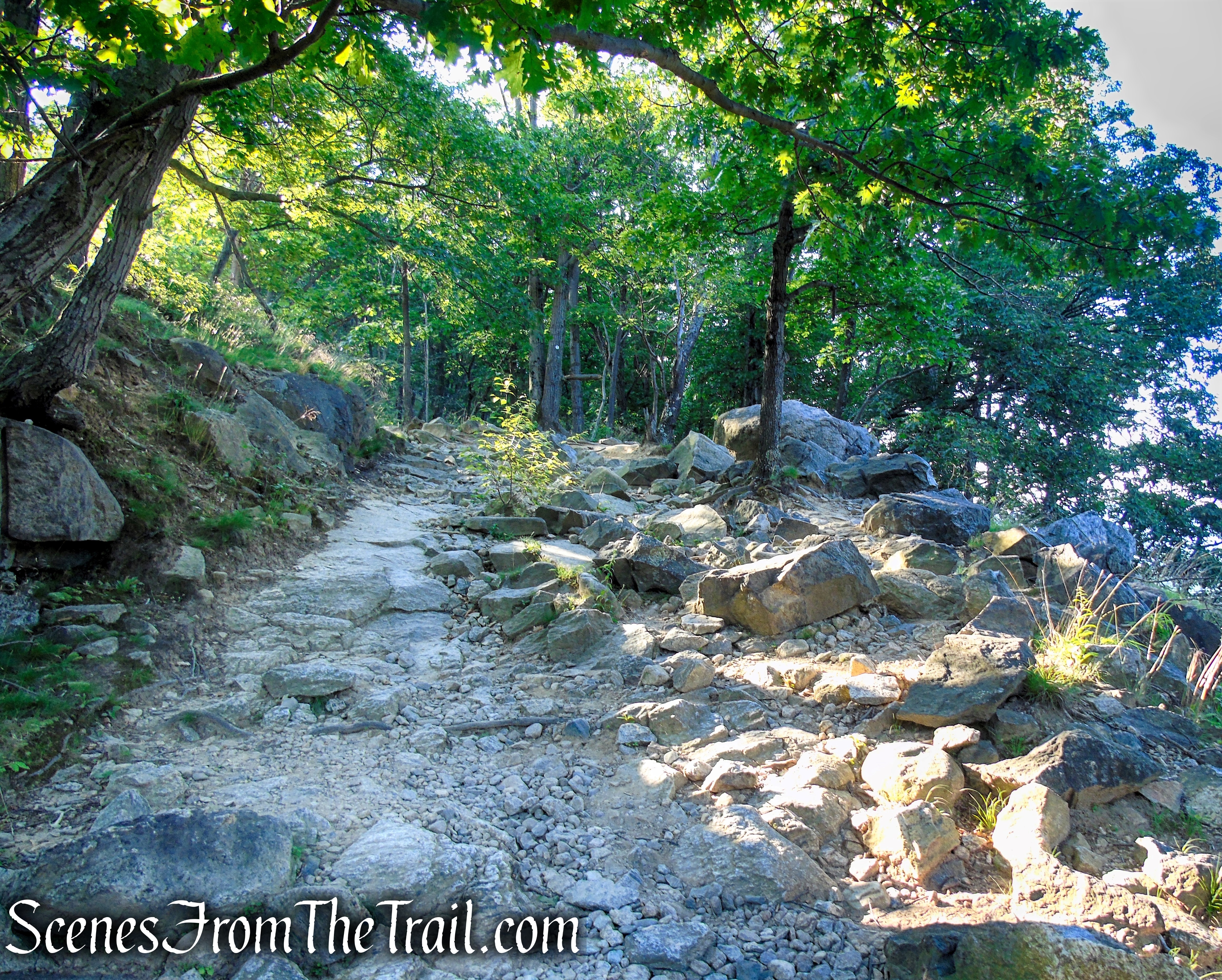 Washburn Trail - Bull Hill