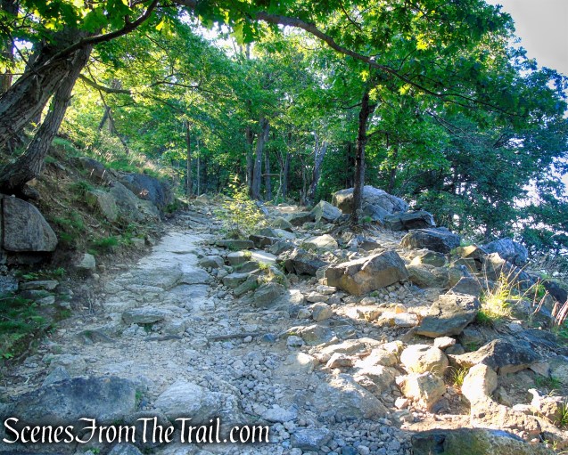 Washburn Trail - Bull Hill