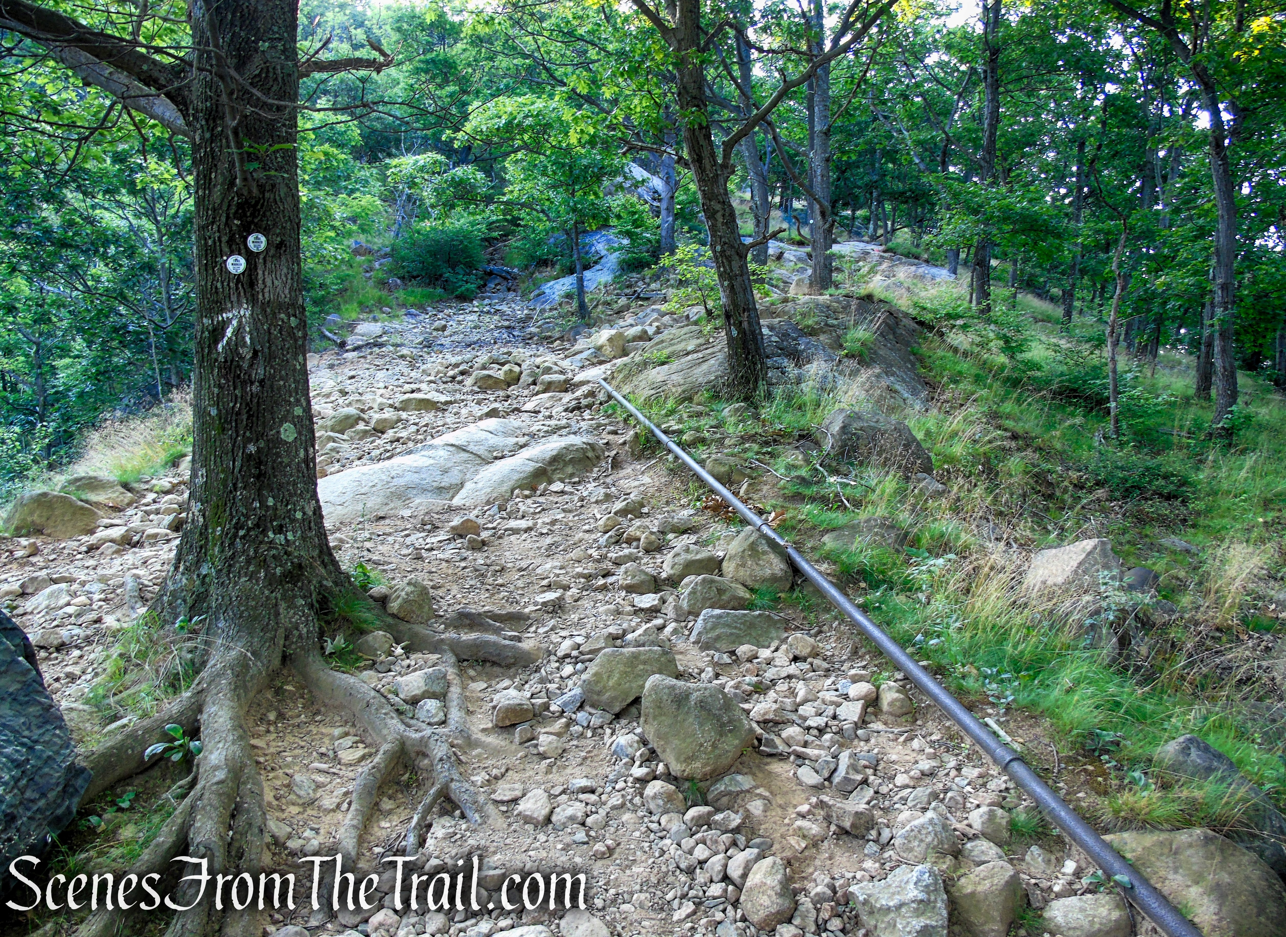 Washburn Trail - Bull Hill