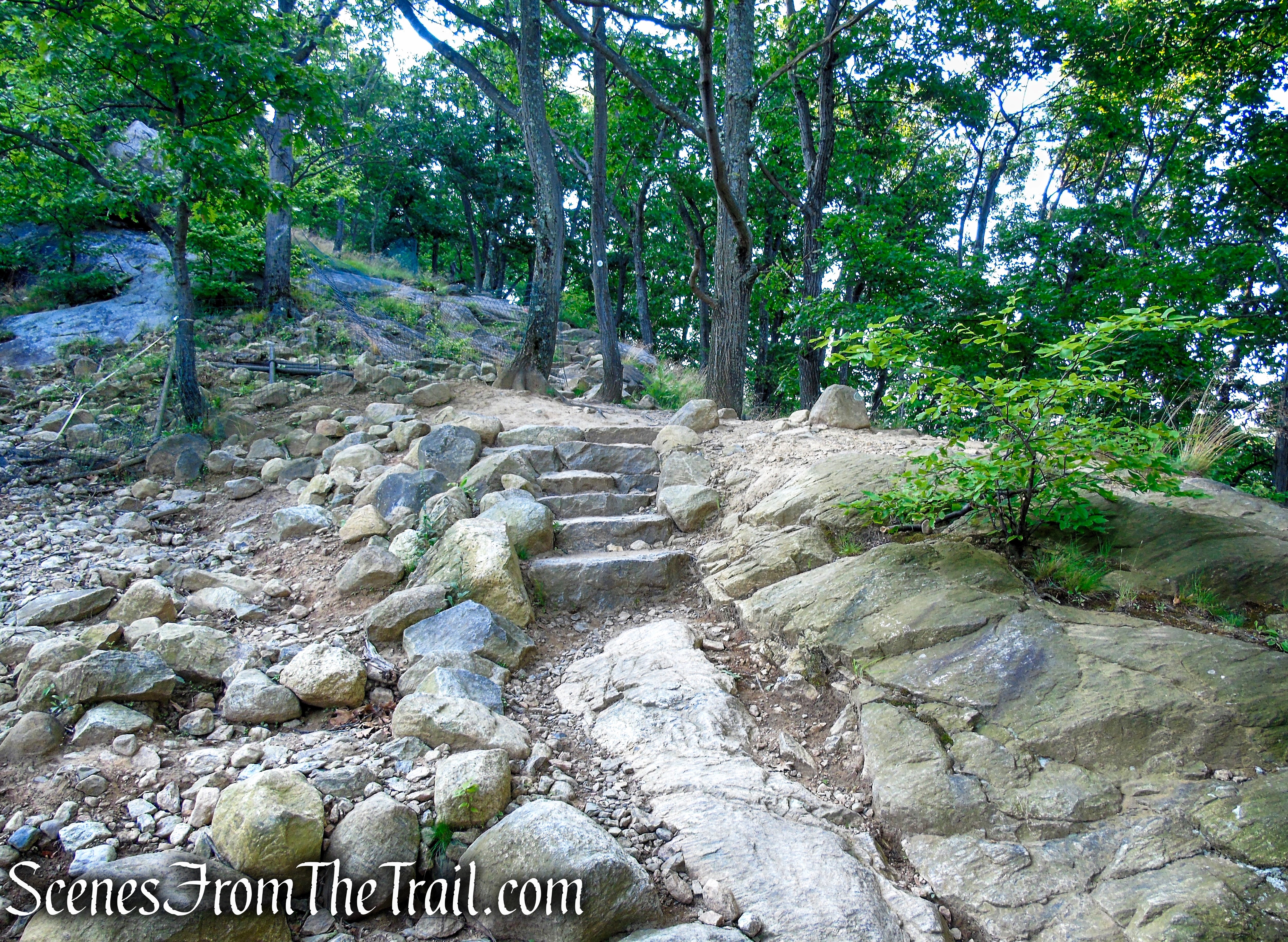 Washburn Trail - Bull Hill