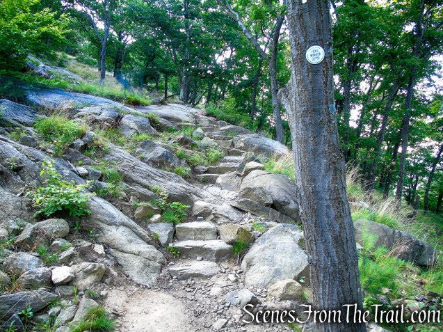 Washburn Trail - Bull Hill