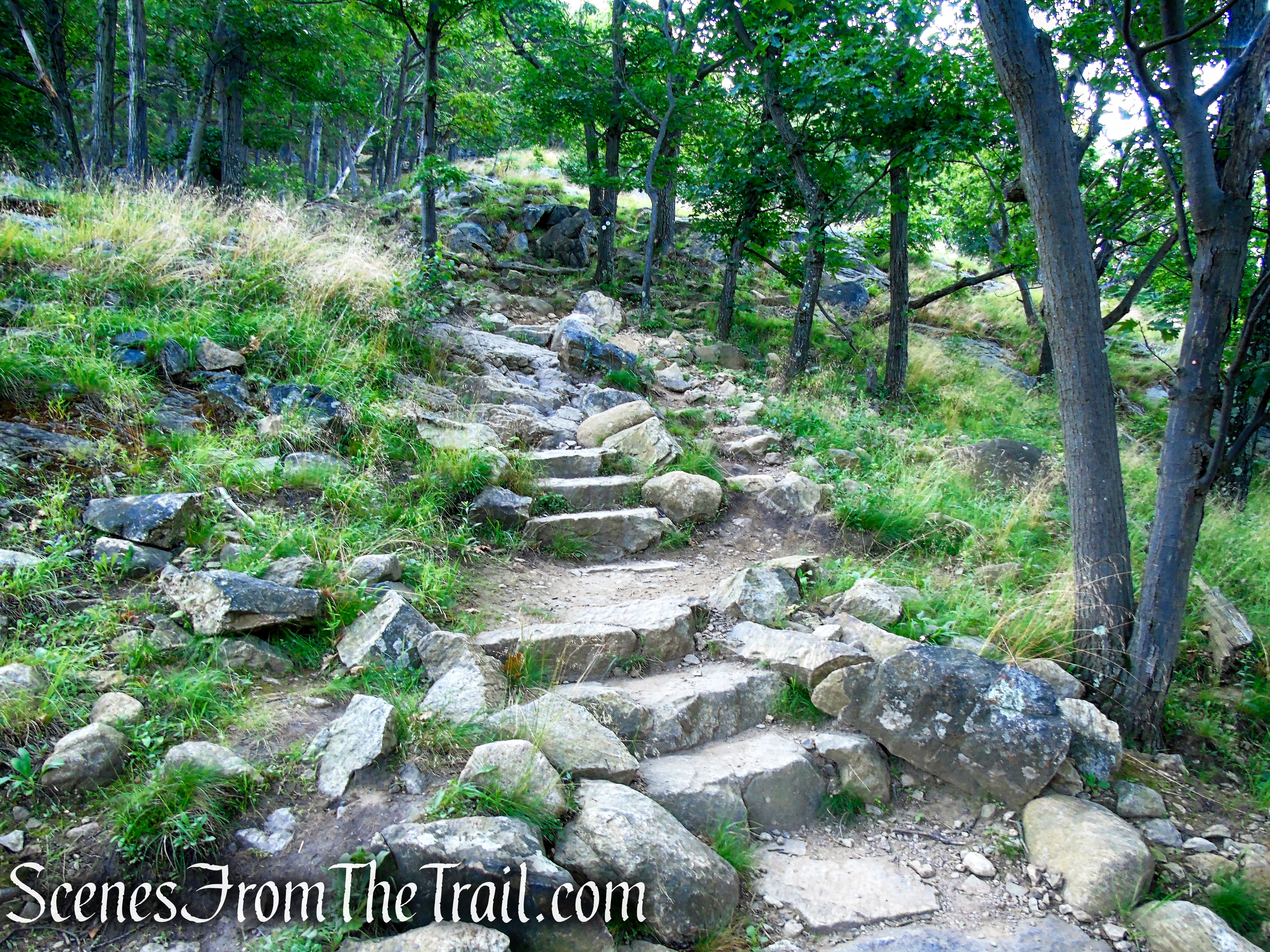 Washburn Trail - Bull Hill