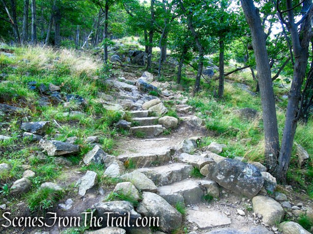 Washburn Trail - Bull Hill