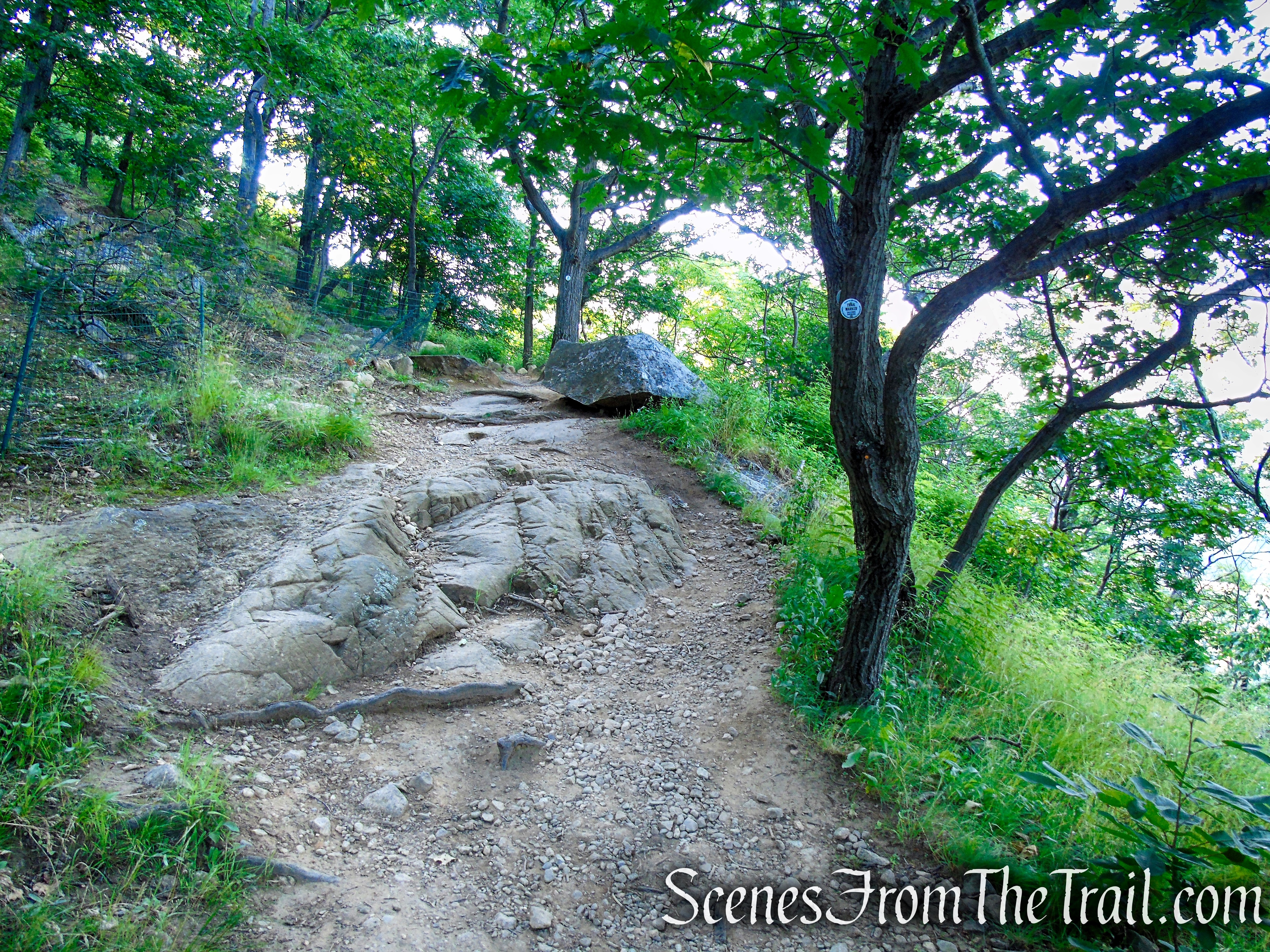 Washburn Trail - Bull Hill
