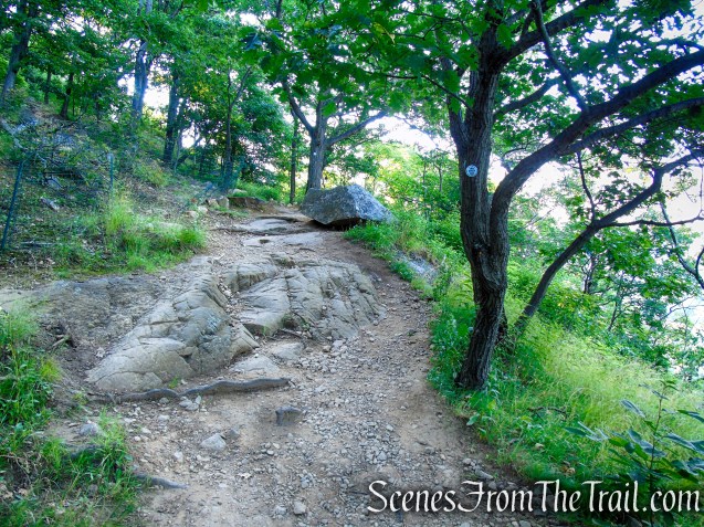 Washburn Trail - Bull Hill