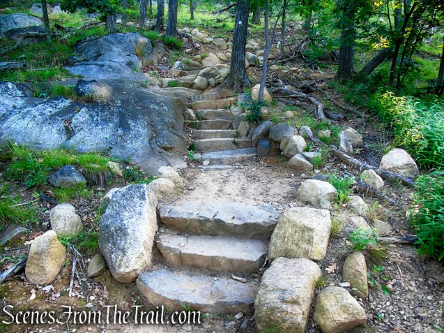 Washburn Trail - Bull Hill