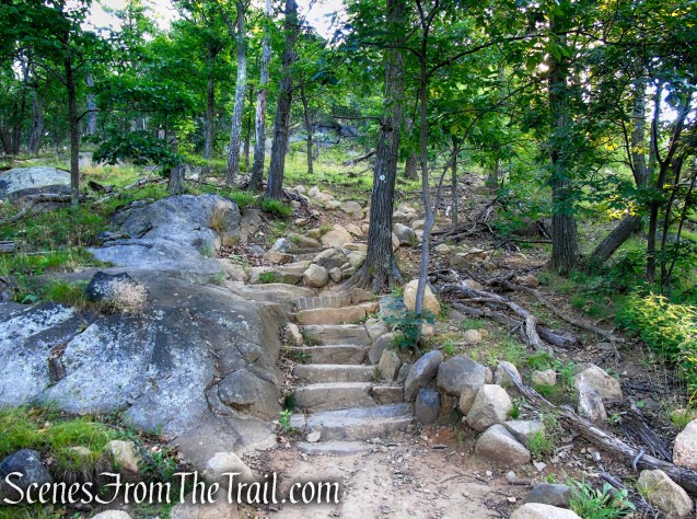 Washburn Trail - Bull Hill