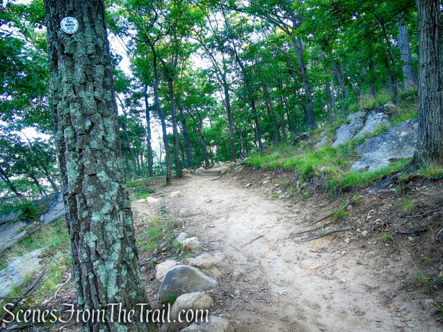Washburn Trail - Bull Hill