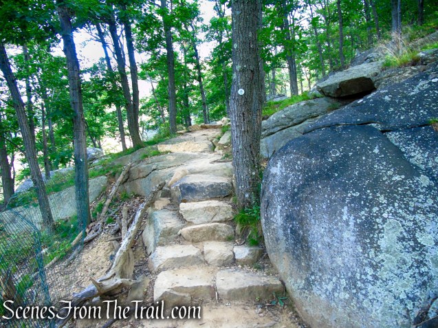 Washburn Trail - Bull Hill