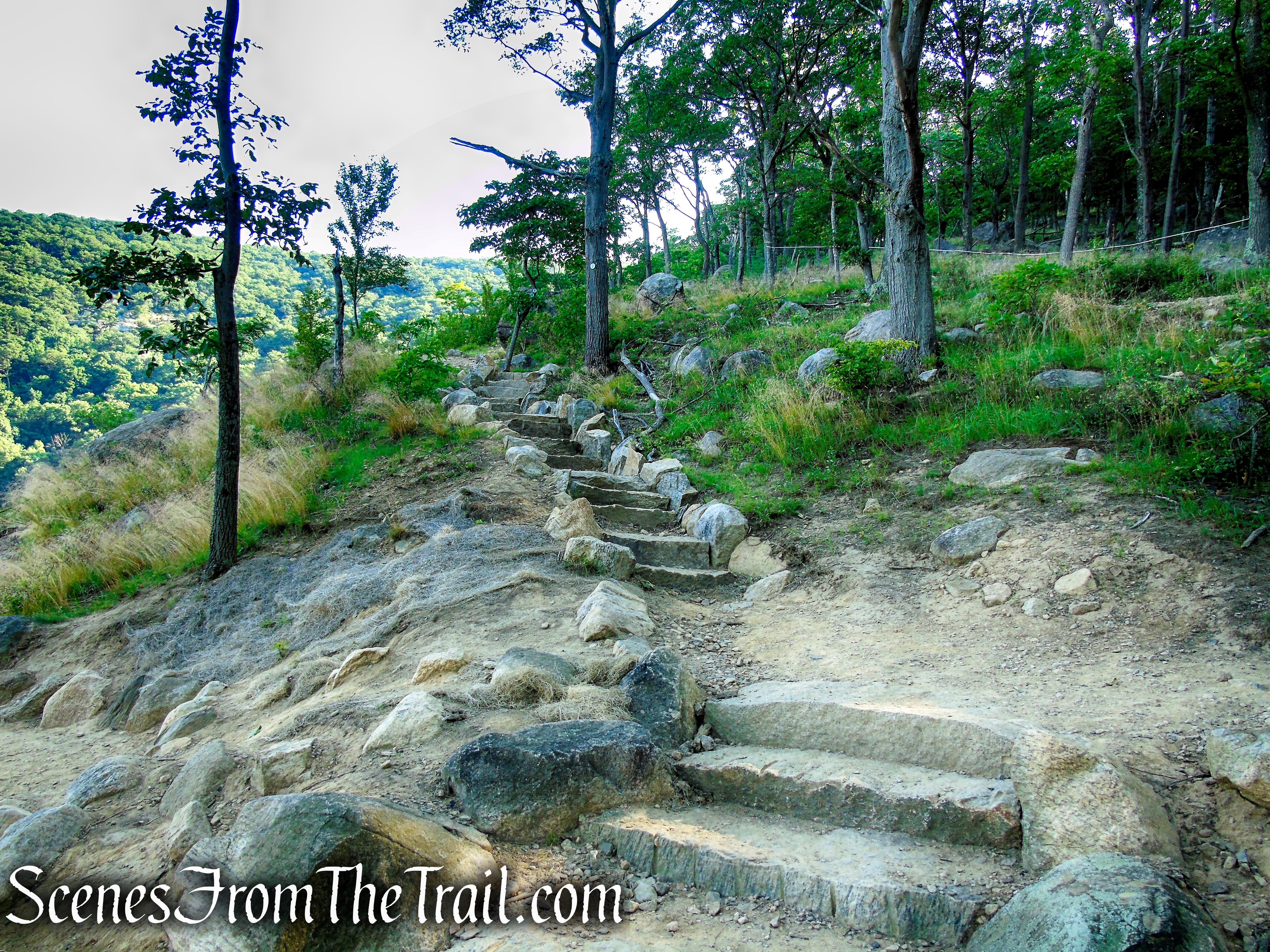 Washburn Trail - Bull Hill