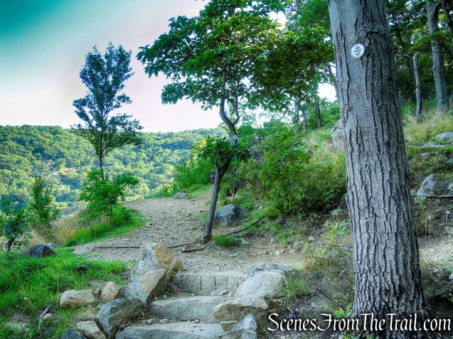 Washburn Trail - Bull Hill