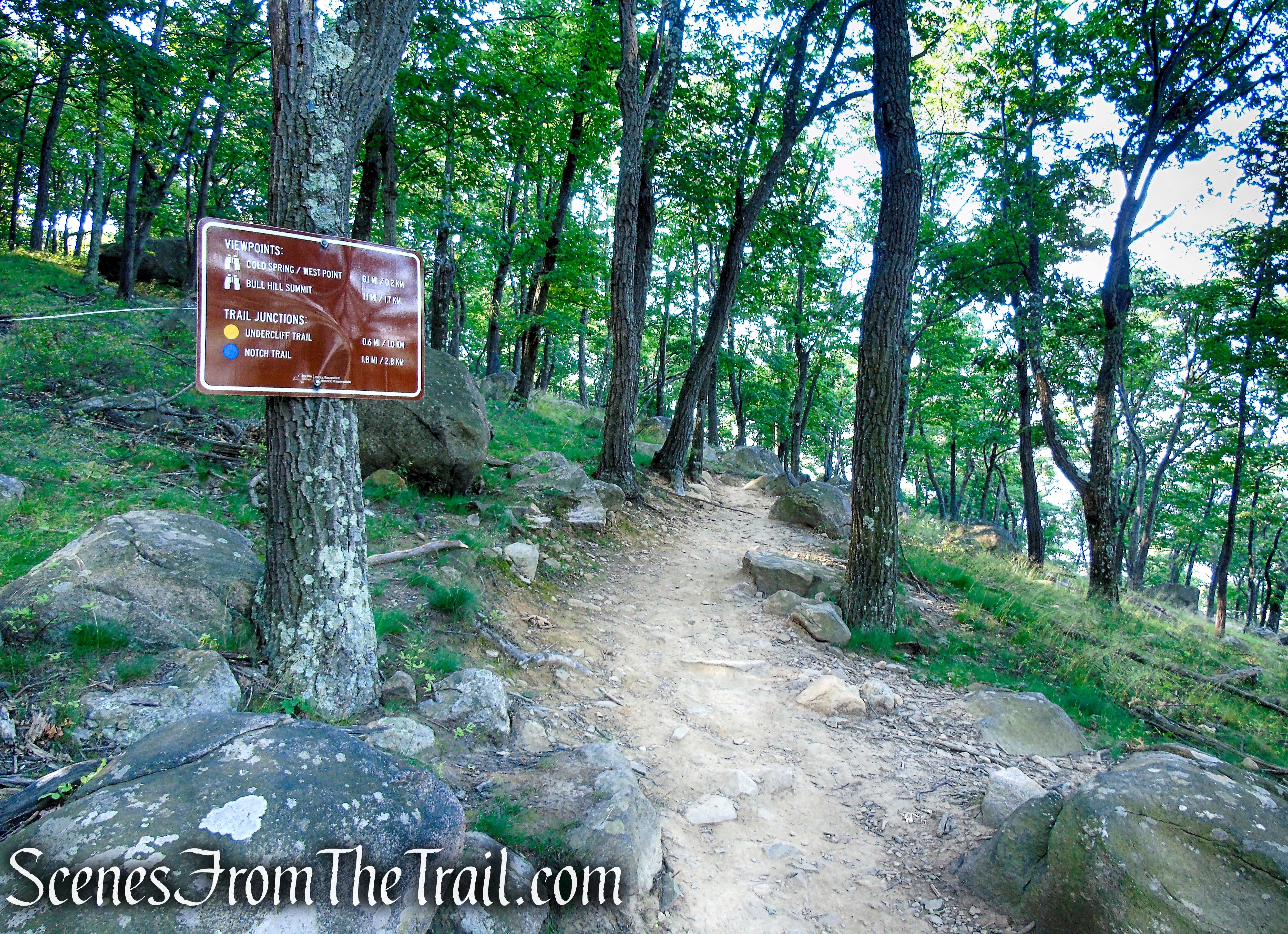 Washburn Trail - Bull Hill