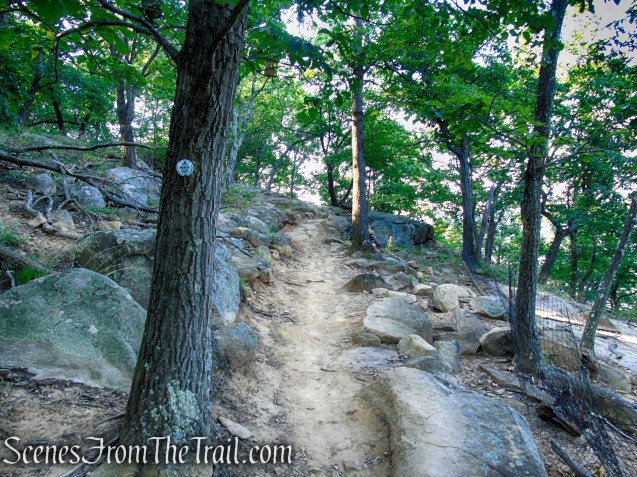 Washburn Trail - Bull Hill