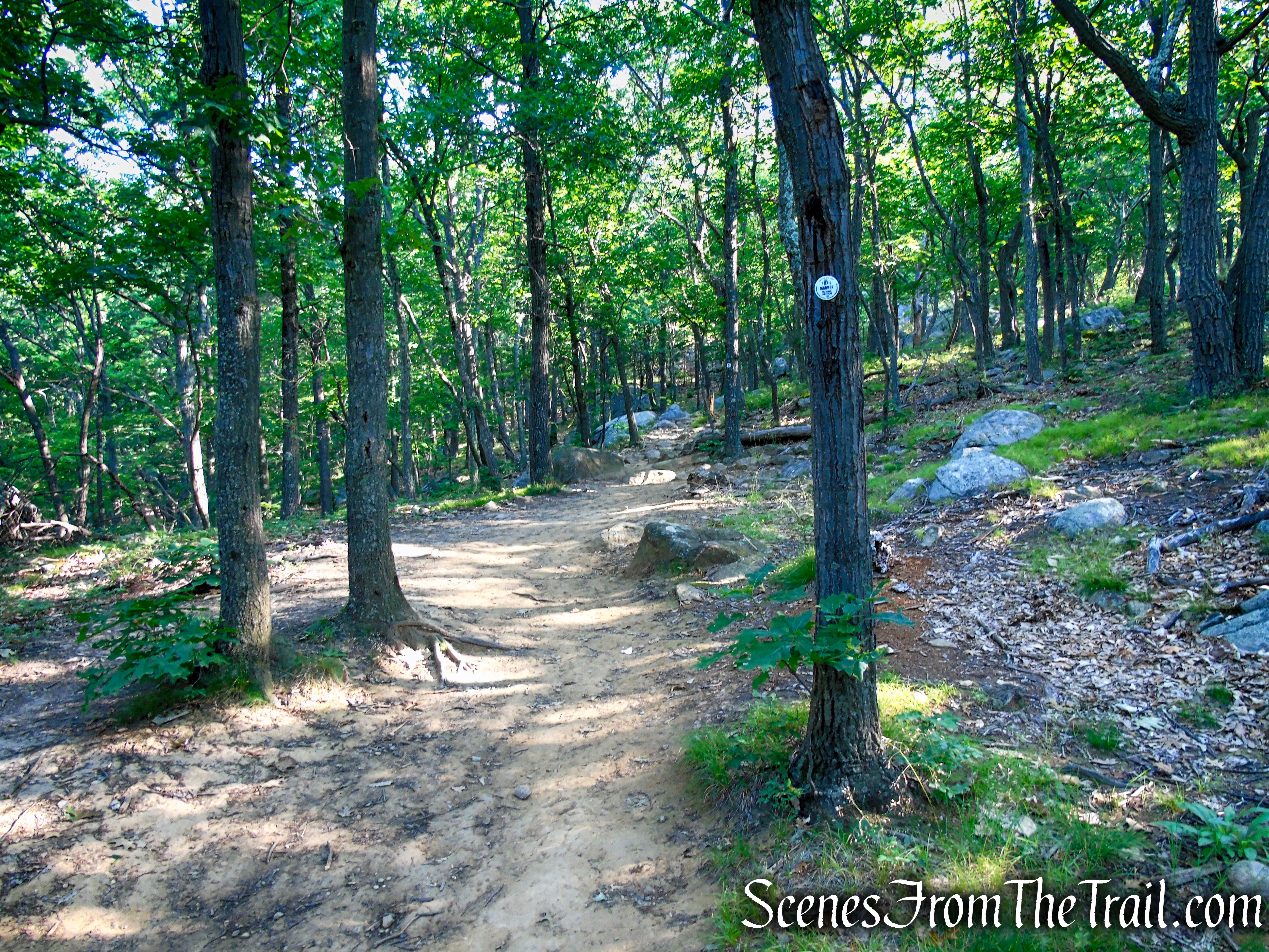 Washburn Trail - Bull Hill