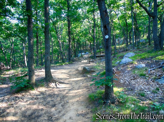 Washburn Trail - Bull Hill