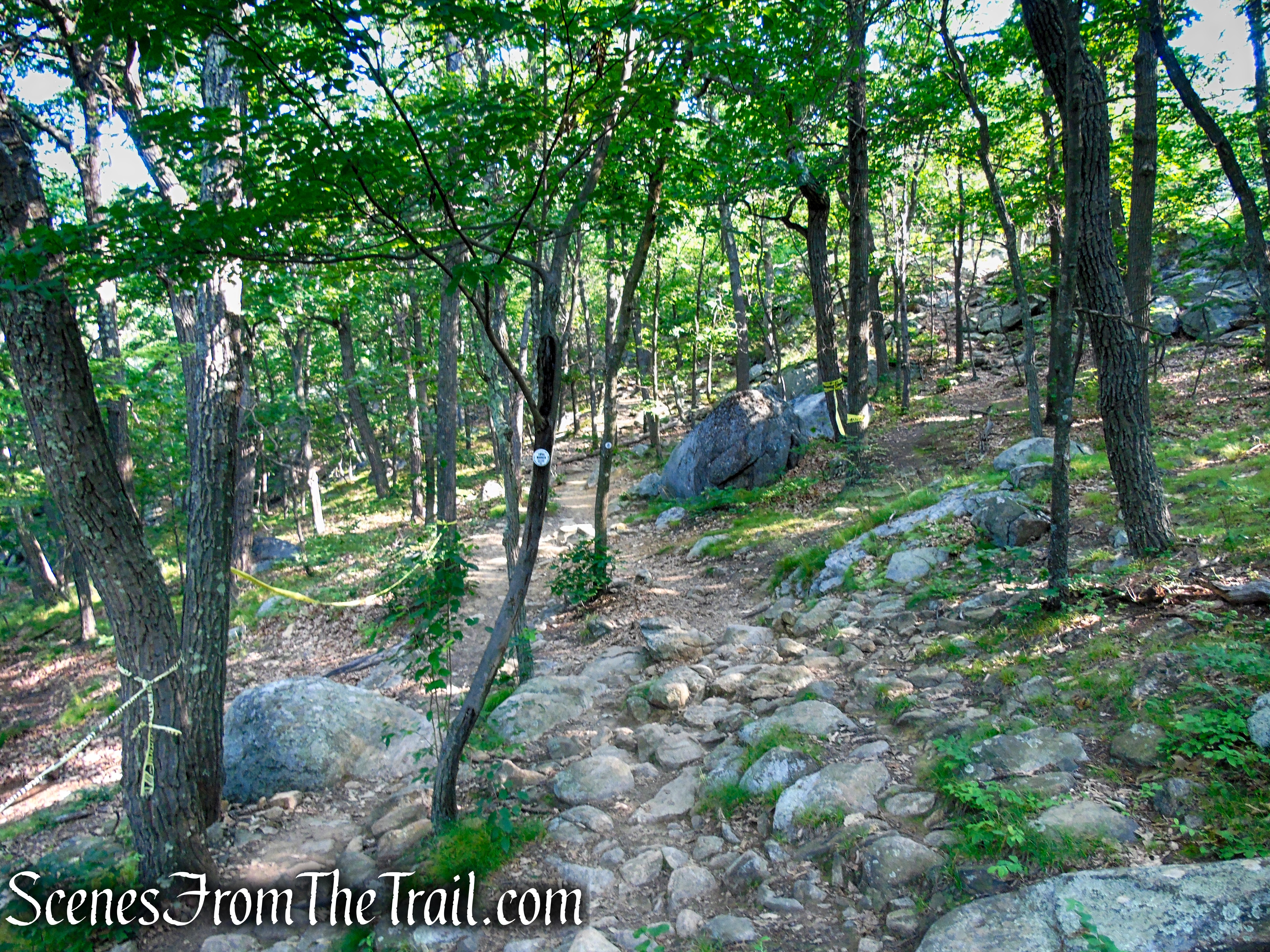 Washburn Trail - Bull Hill