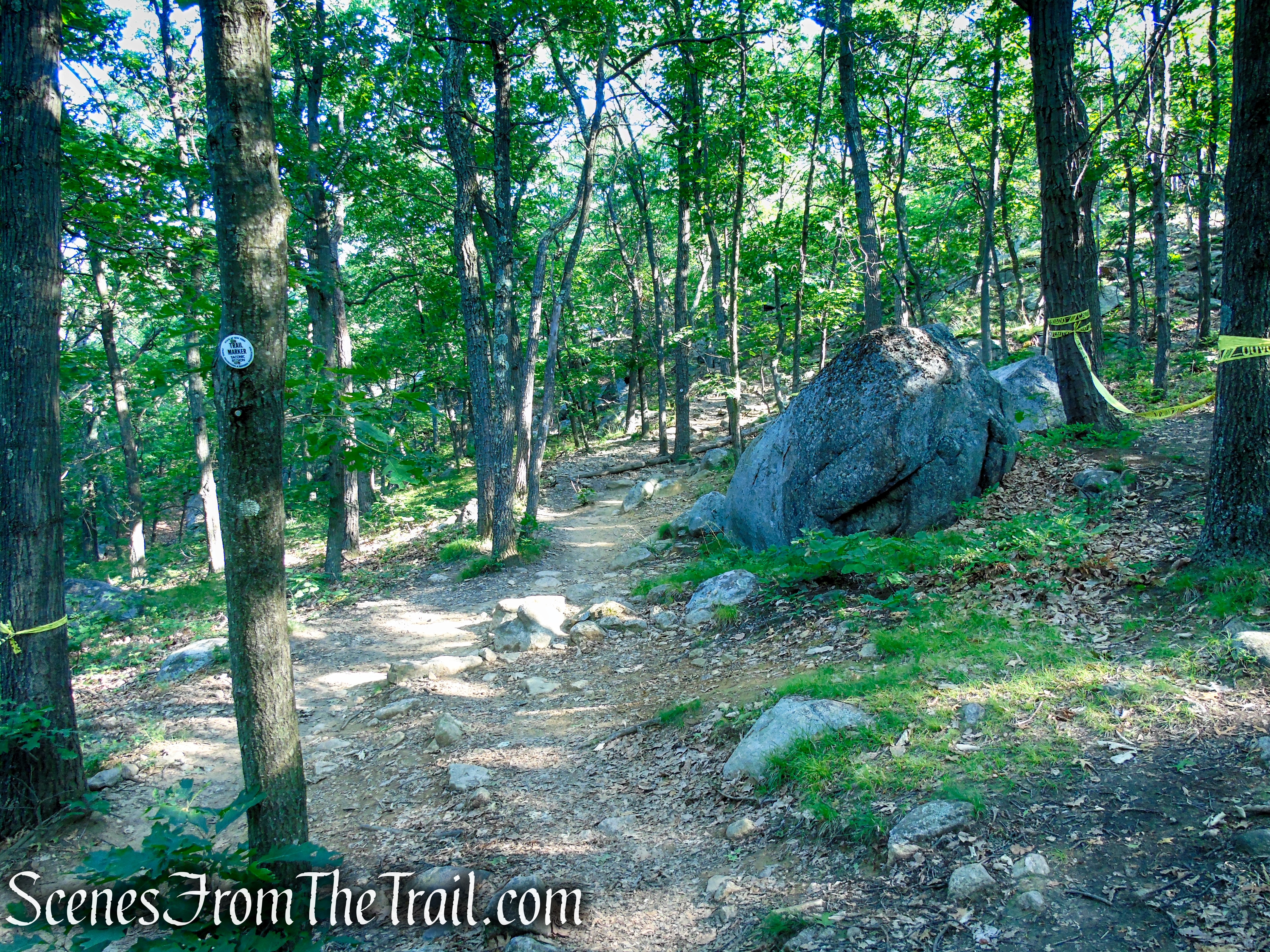 Washburn Trail - Bull Hill
