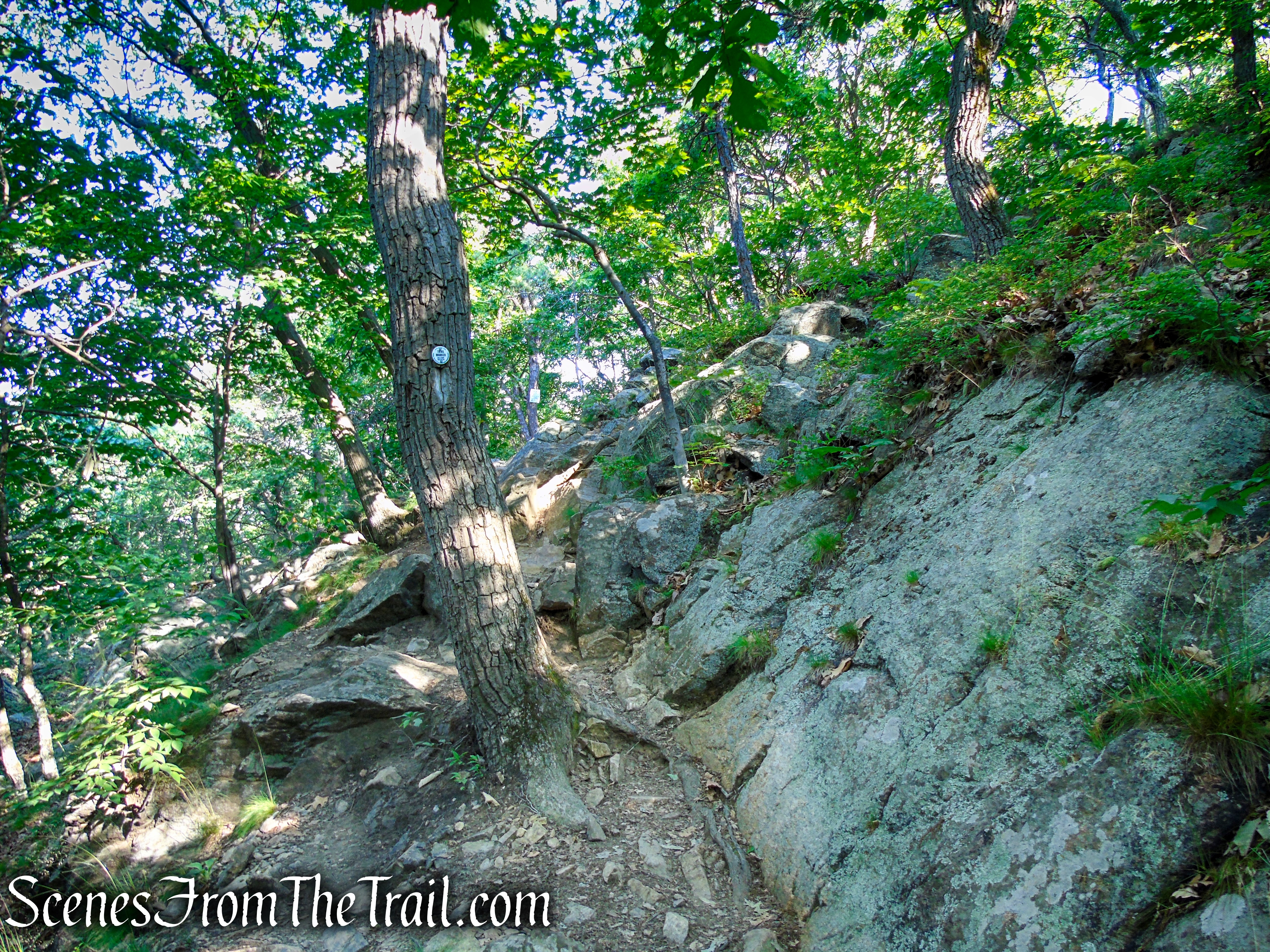 Washburn Trail - Bull Hill