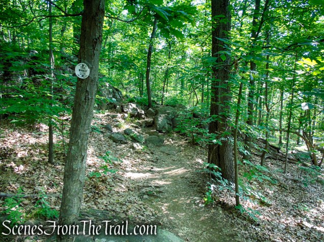 Washburn Trail - Bull Hill