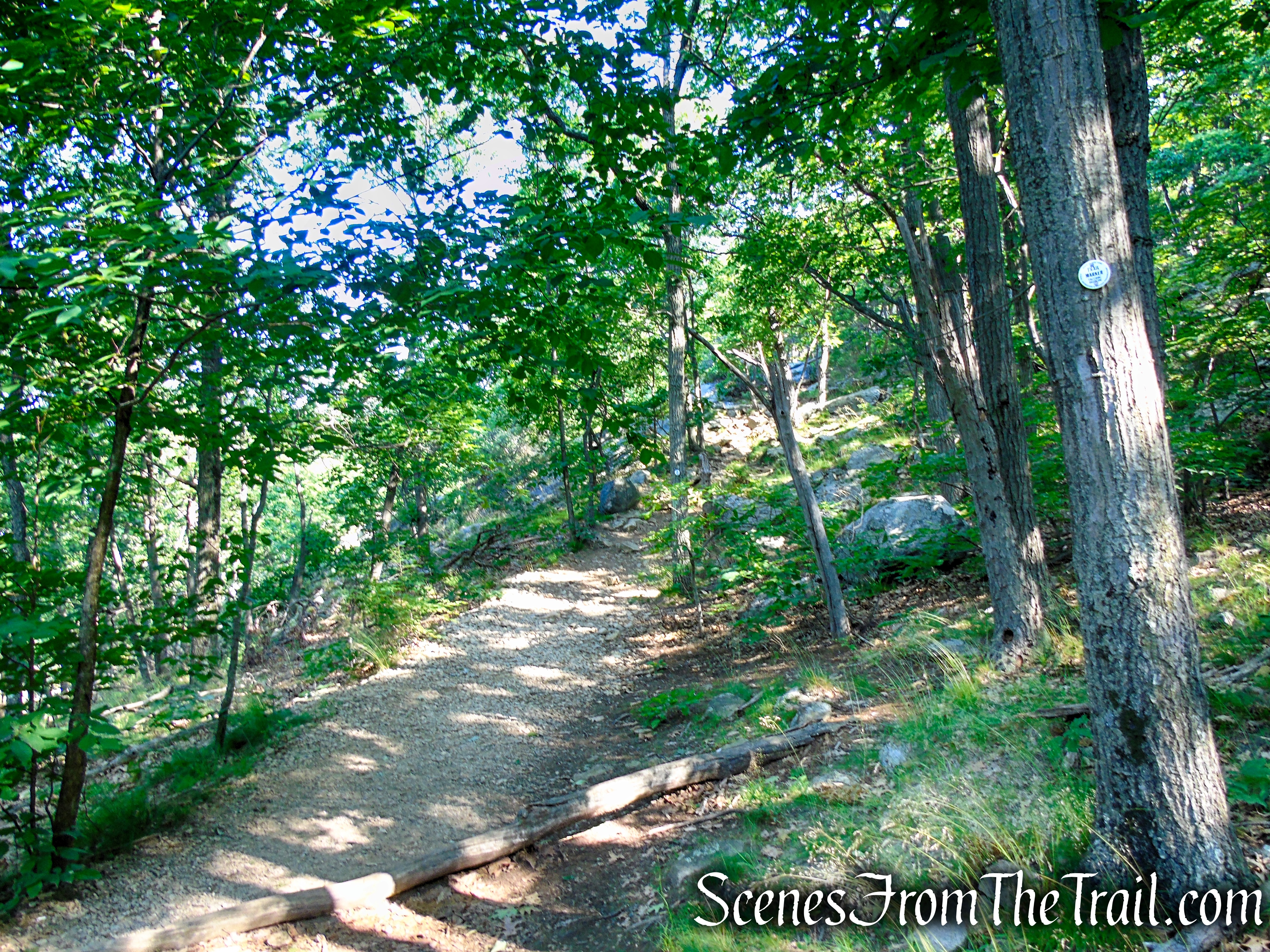 Washburn Trail - Bull Hill