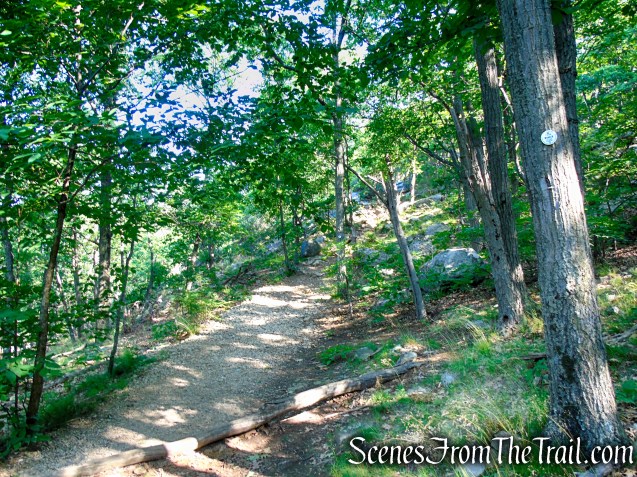 Washburn Trail - Bull Hill