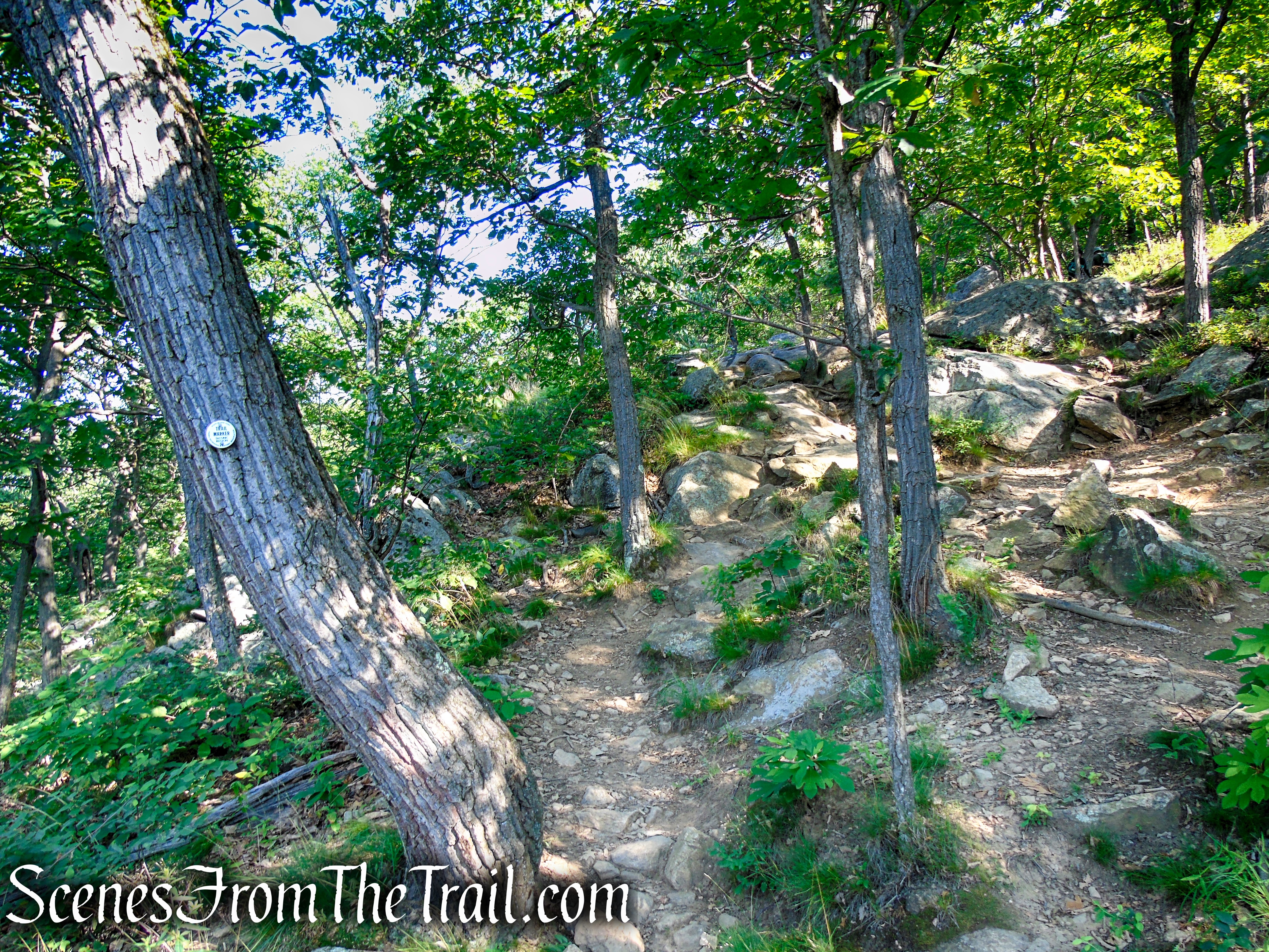 Washburn Trail - Bull Hill