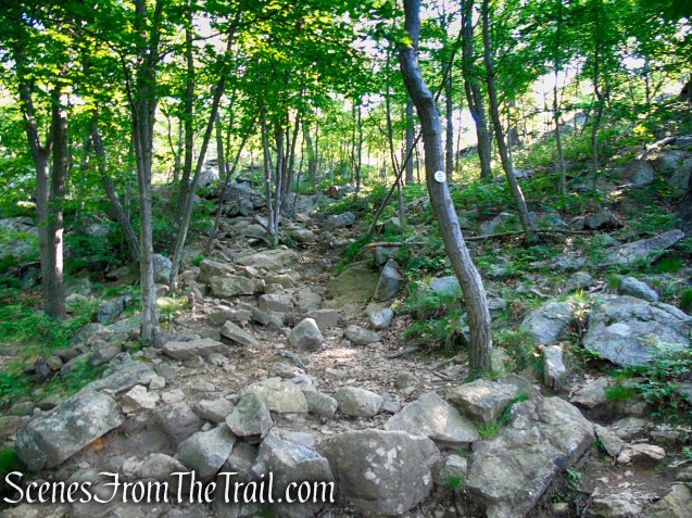 Washburn Trail - Bull Hill