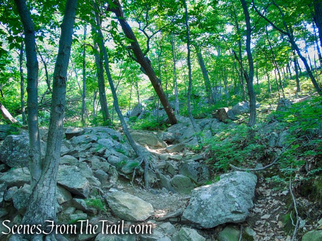 Washburn Trail - Bull Hill