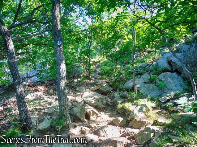 Washburn Trail - Bull Hill