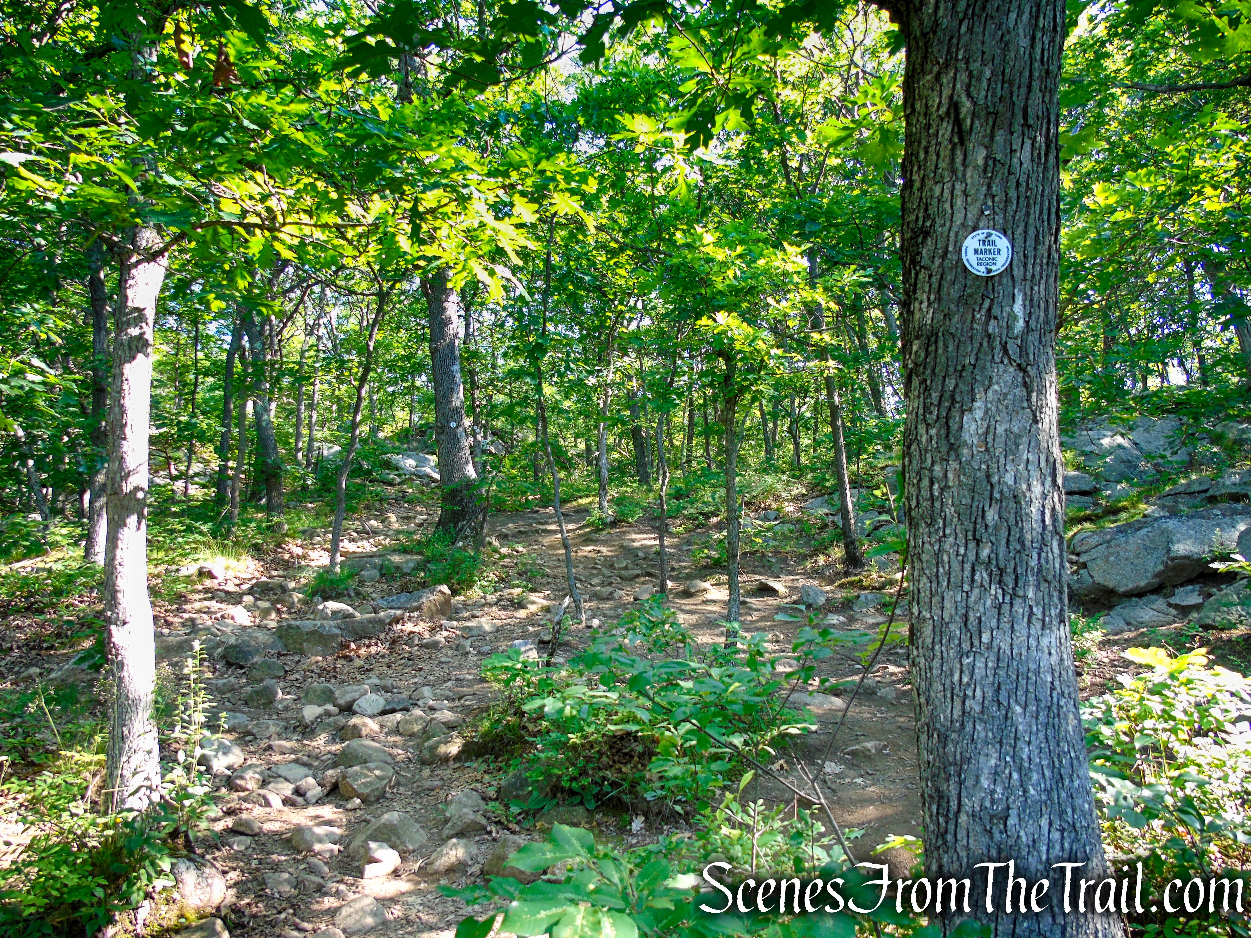 Washburn Trail - Bull Hill
